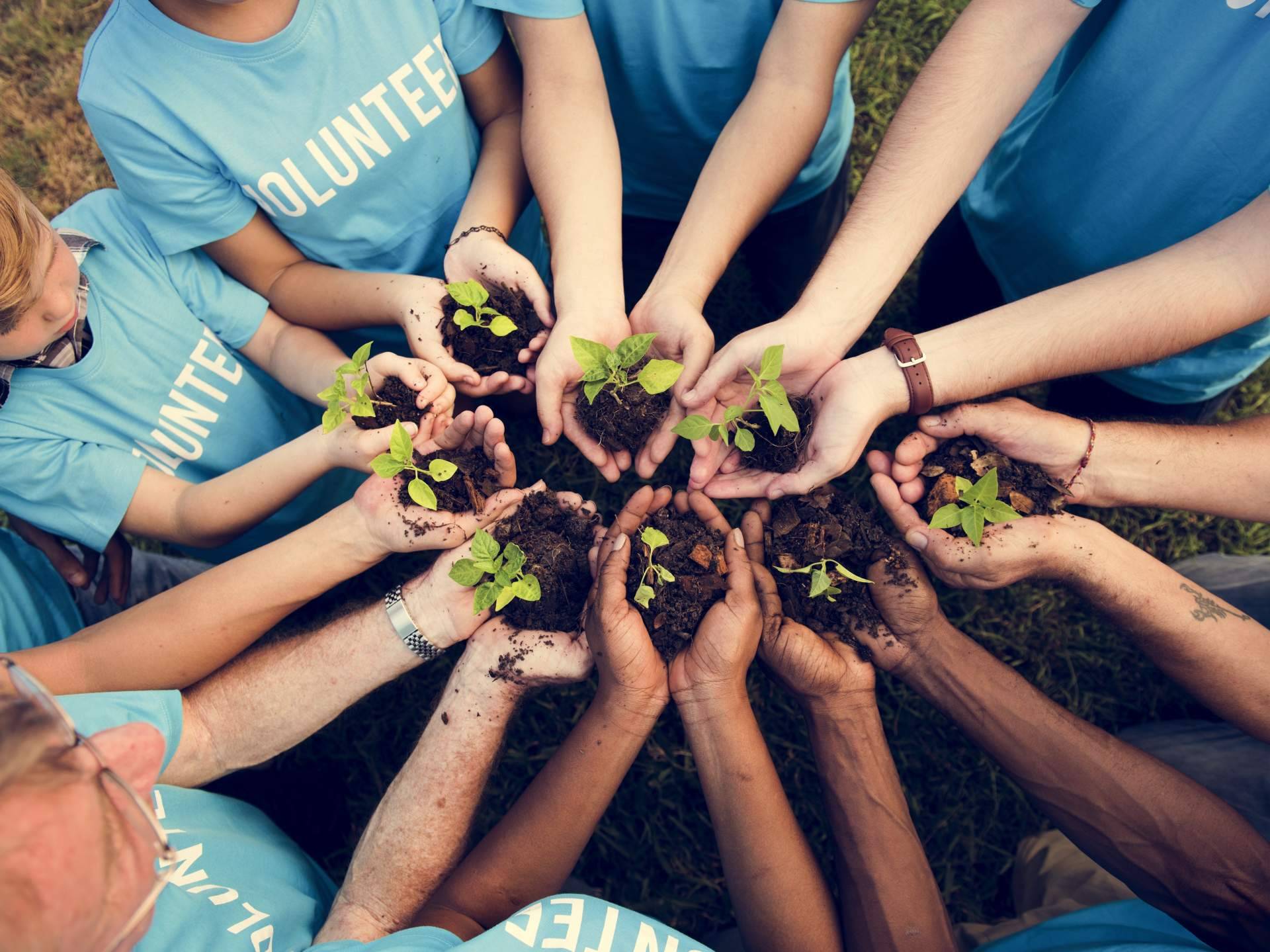 Volungo, solidaridad con esta red nacida en España