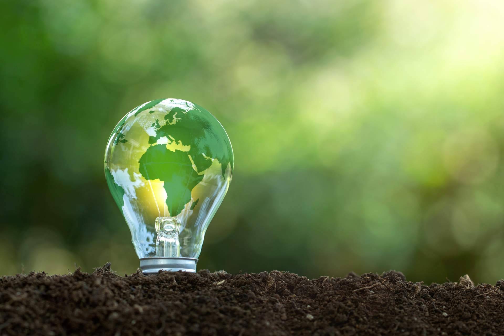 La importancia de las energías renovables en el Día Mundial del Ahorro de Energía
