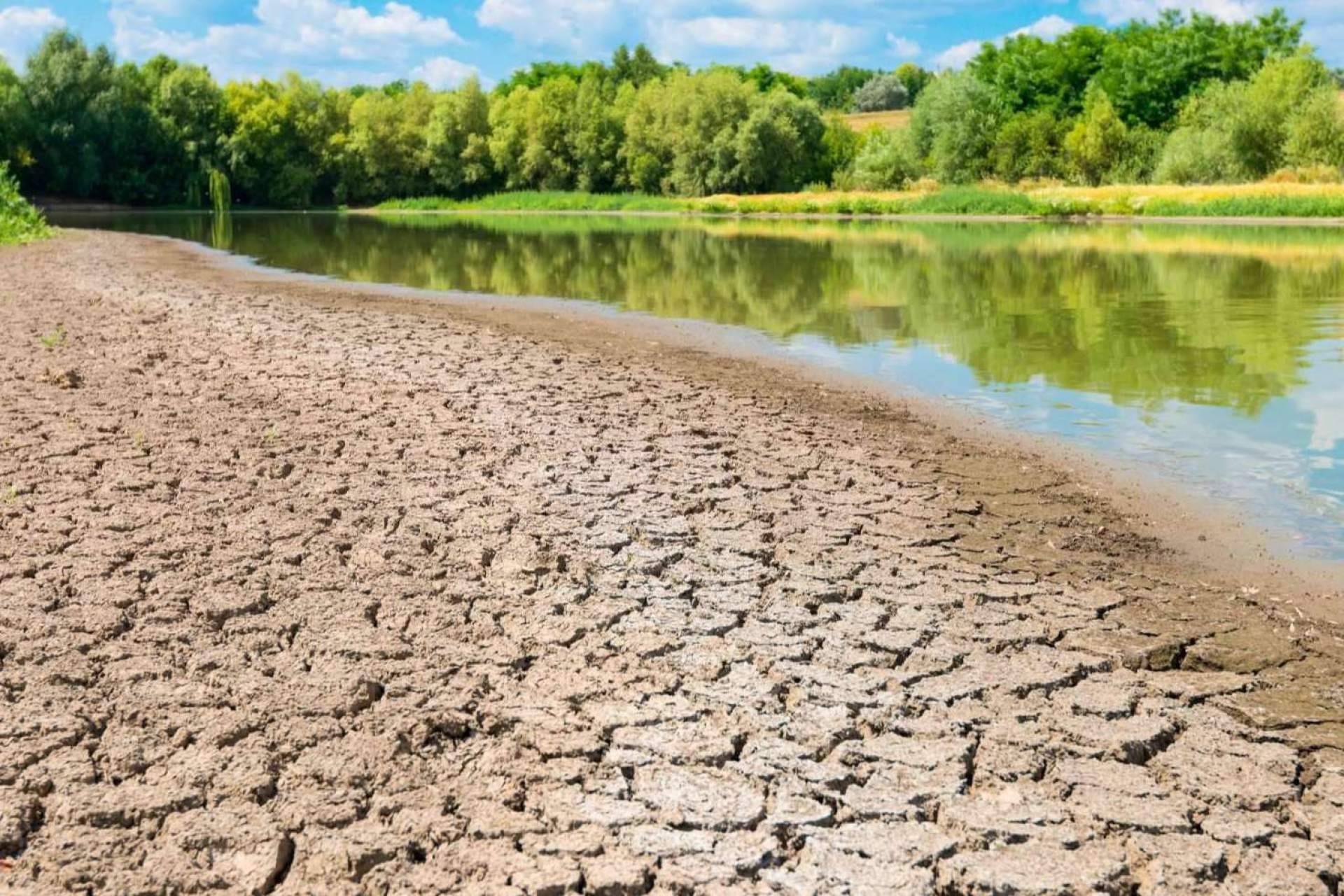 Sistemas de tratamiento de aguas pluviales con las que cuenta Pluvial