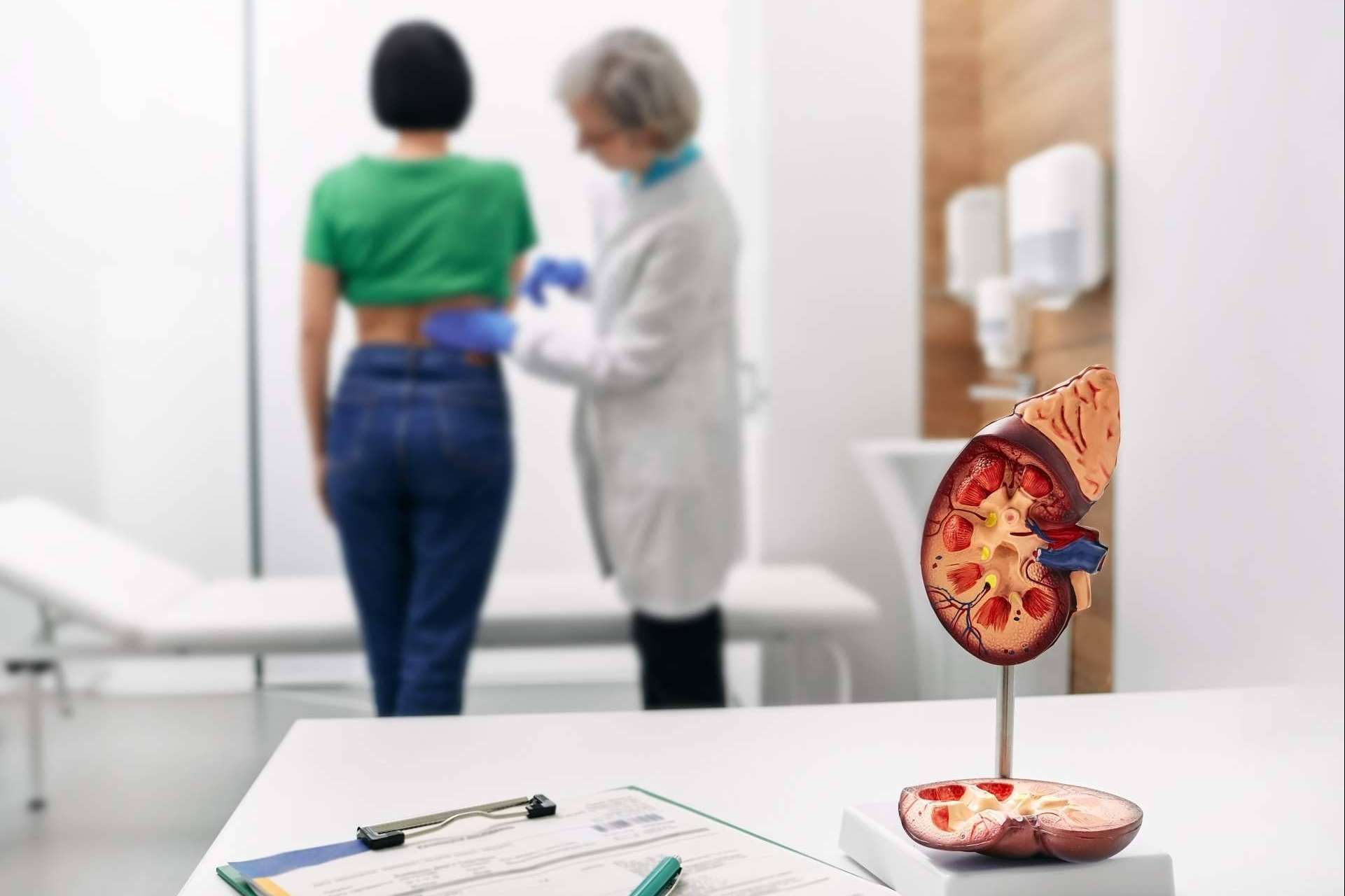 Cómo frenar o prevenir las enfermedades renales, con la clínica MER