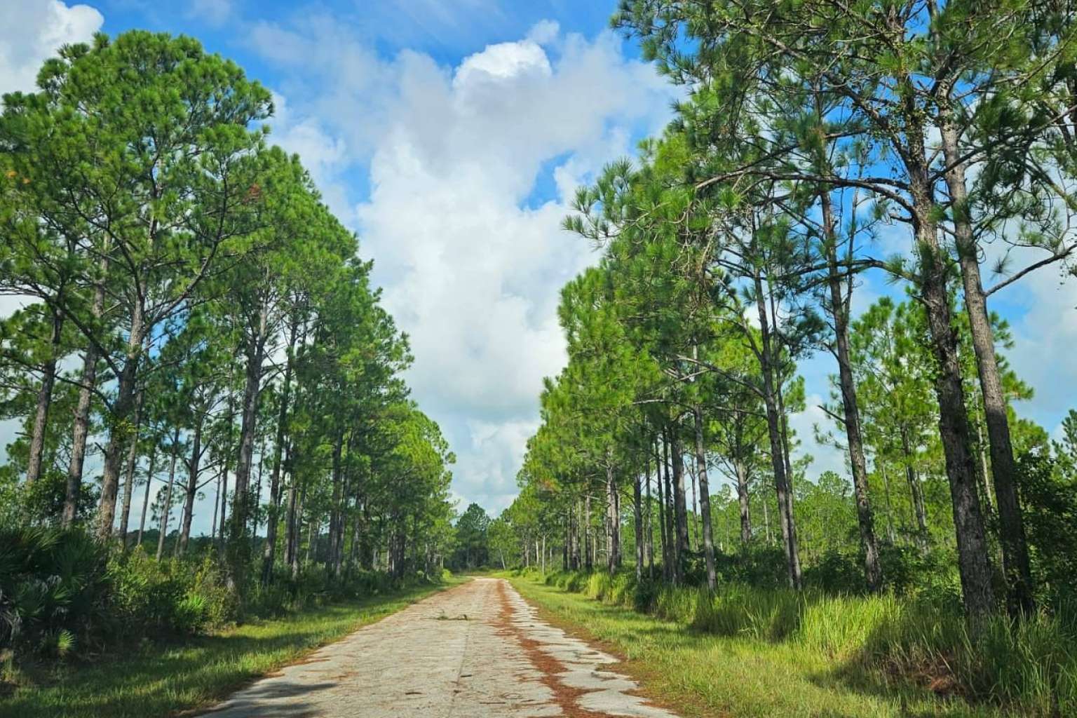 Bajo riesgo cuando se invierte en terrenos en Florida