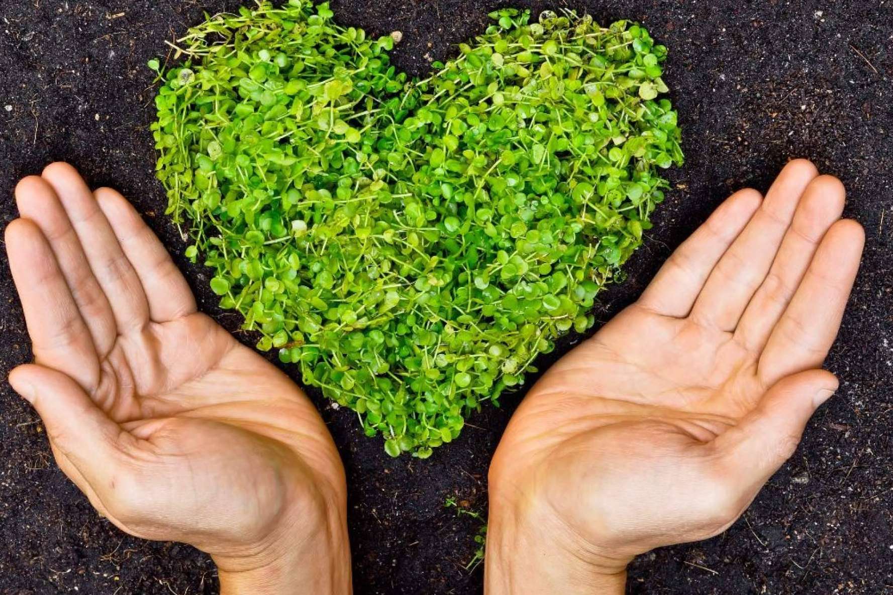 Naturtierra, una de las marcas más valoradas en el segmento de los complementos alimenticios en gran consumo