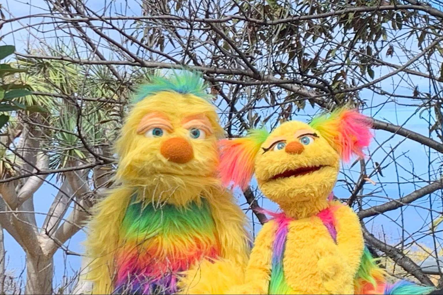 Bambloo.TV es un programa de streaming con títeres dirigido a la infancia