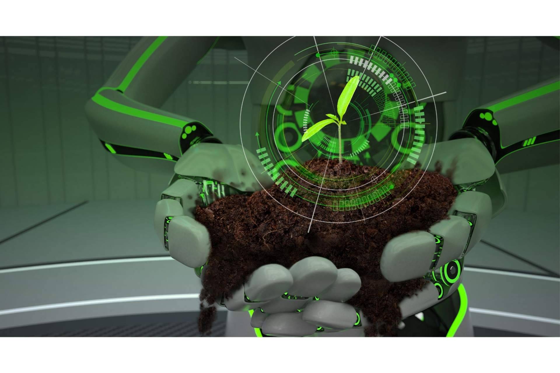 ¿Cuál es la startup que ha puesto el campo español en el mapa?