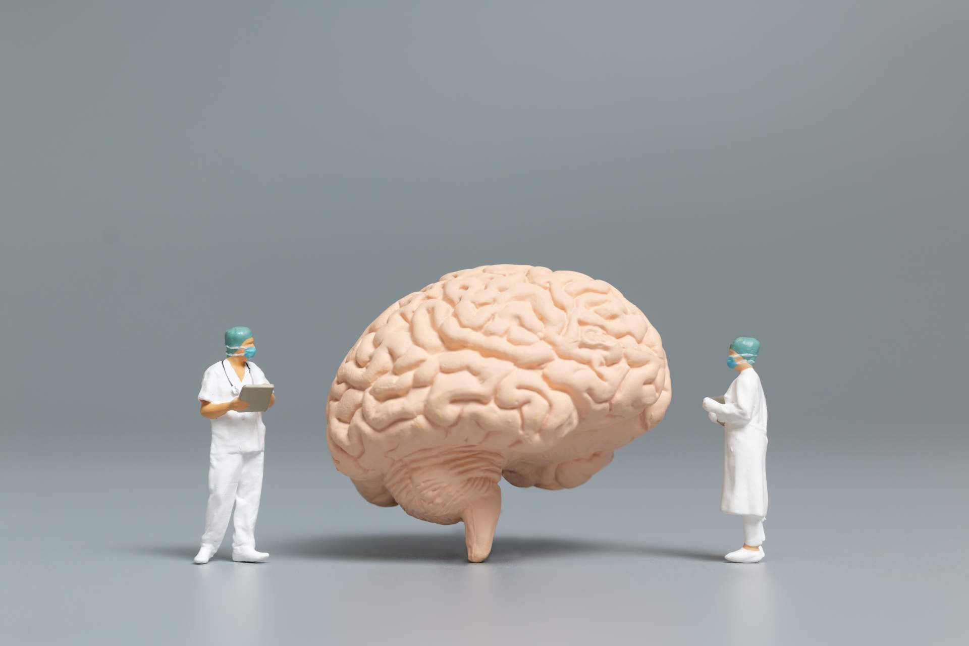 Bibefy ofrece soluciones naturales para la memoria