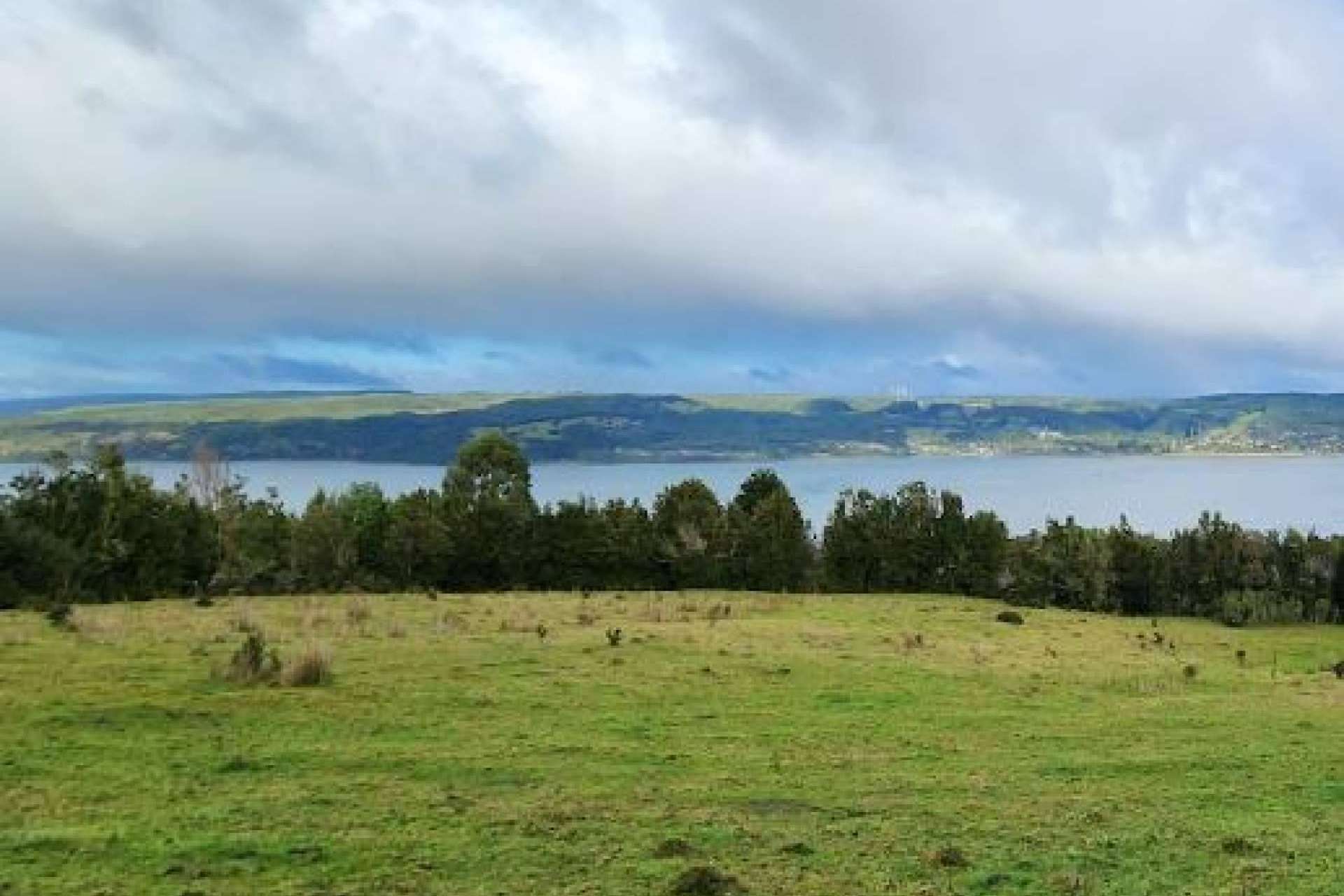 La clave del éxito en la inversión de parcelas al sur de Chile; Planificación y asesoría con Latitudes Australes