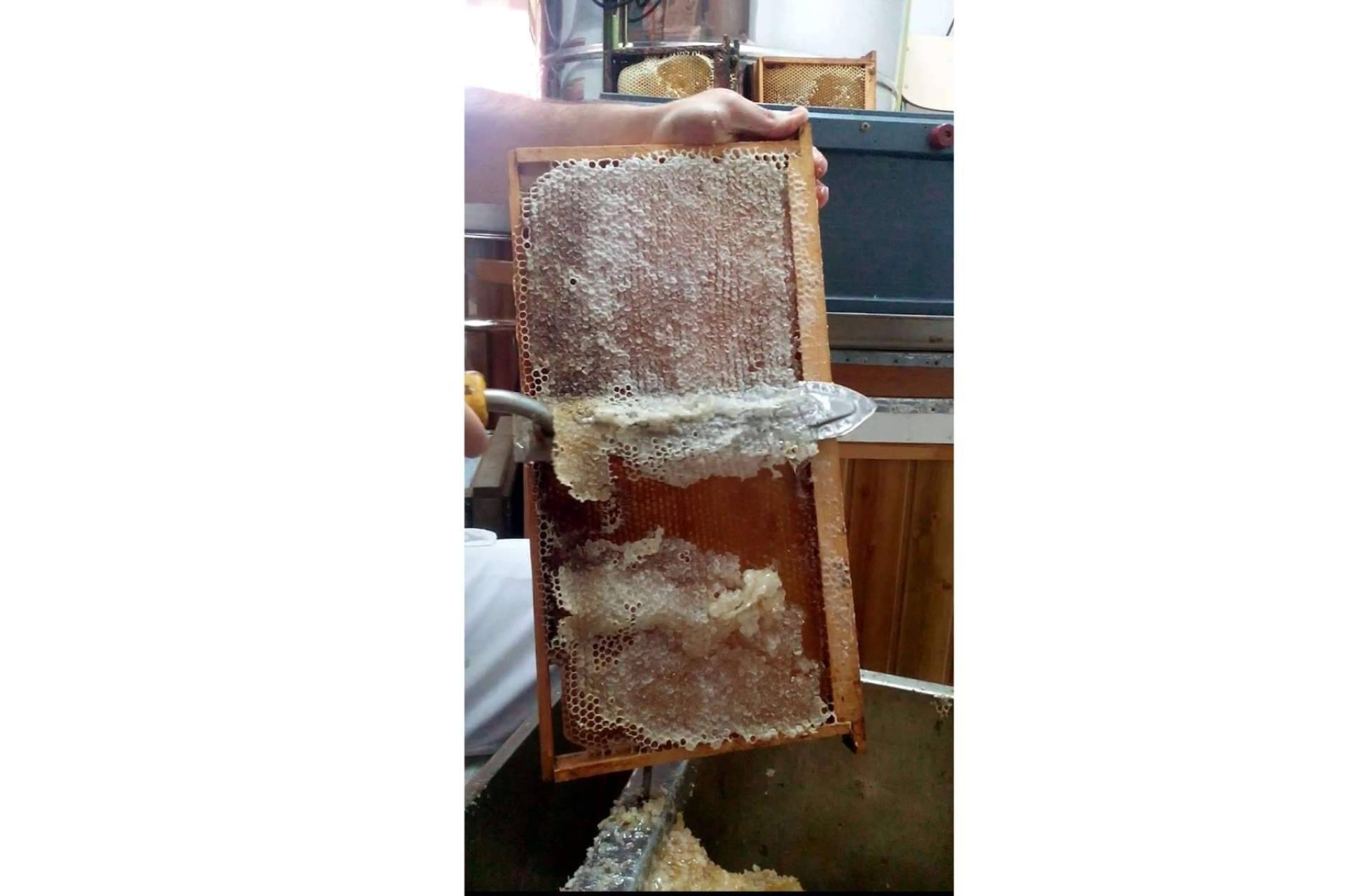 Miel natural cruda de El Colmenar de Ángel, una alternativa más saludable