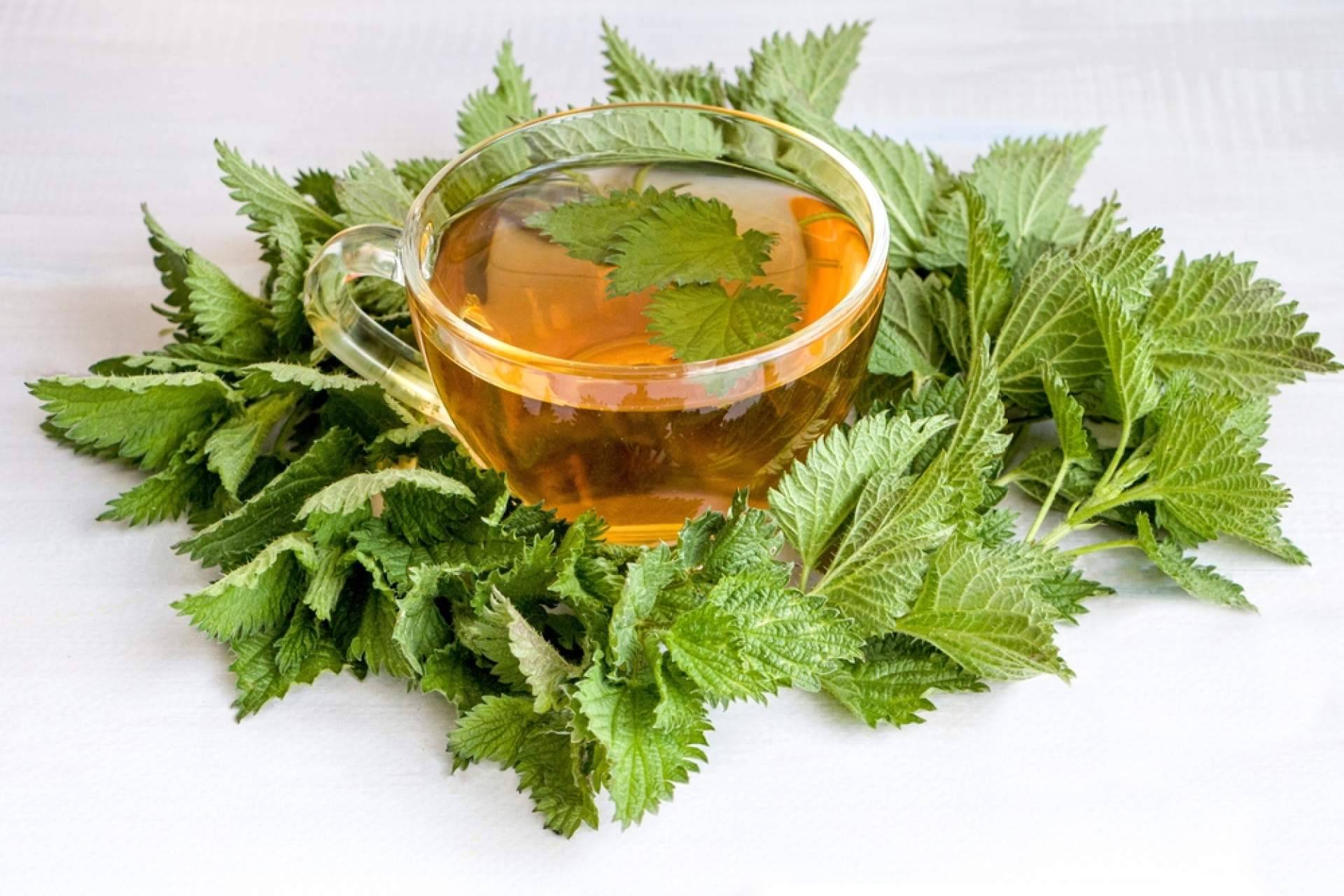 WOW, la infusión de ortiga ecológica de Sientea que aporta energía y buenas vibras