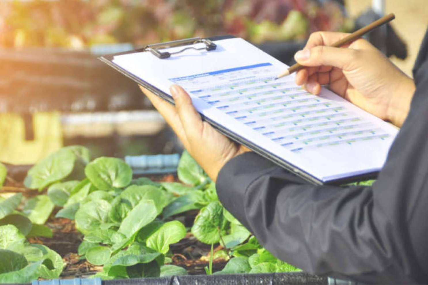 Locatec presenta QualitApp, una plataforma tecnológica para el control de calidad en la industria agroalimentaria