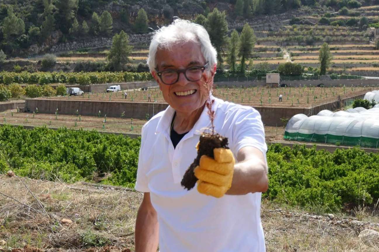 Alicante acoge el 9º bosque del programa 'Juega tu papel'
