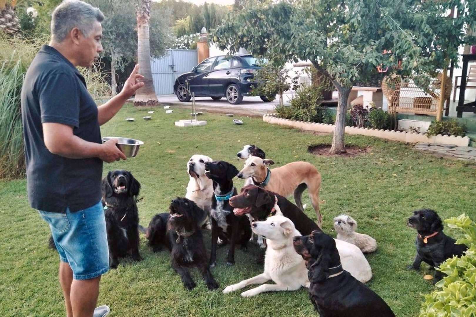 Natural Leading. La revolución en la educación canina que transforma vidas