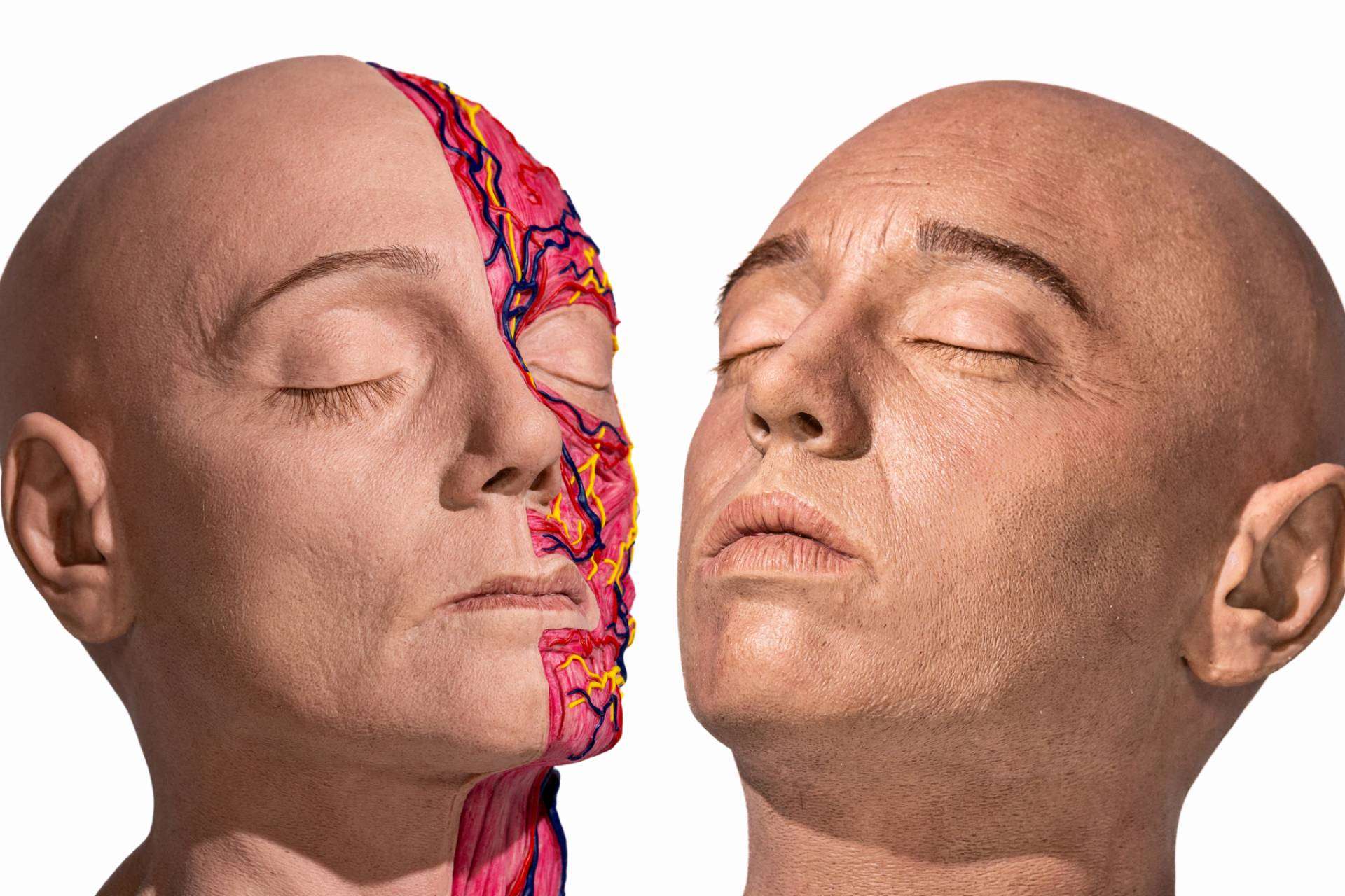 REALMED SIMULATORS, la compañía que está revolucionando la formación en medicina estética