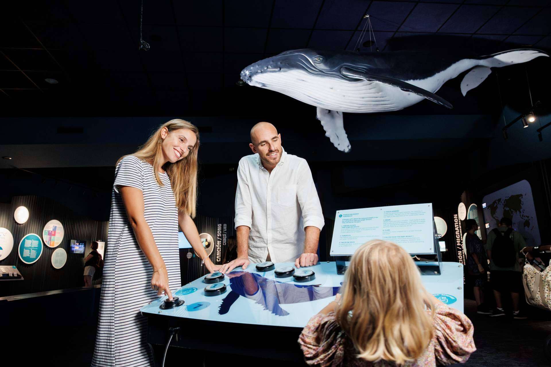 Descubrir el otro lado de Mallorca con Palma Aquarium