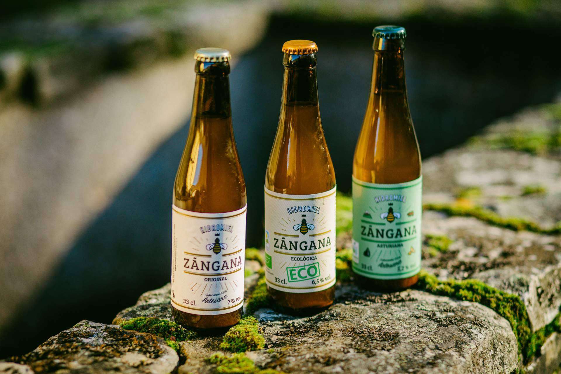 Experiencia sensorial de sabores y aromas con maridaje de Hidromiel Zángana