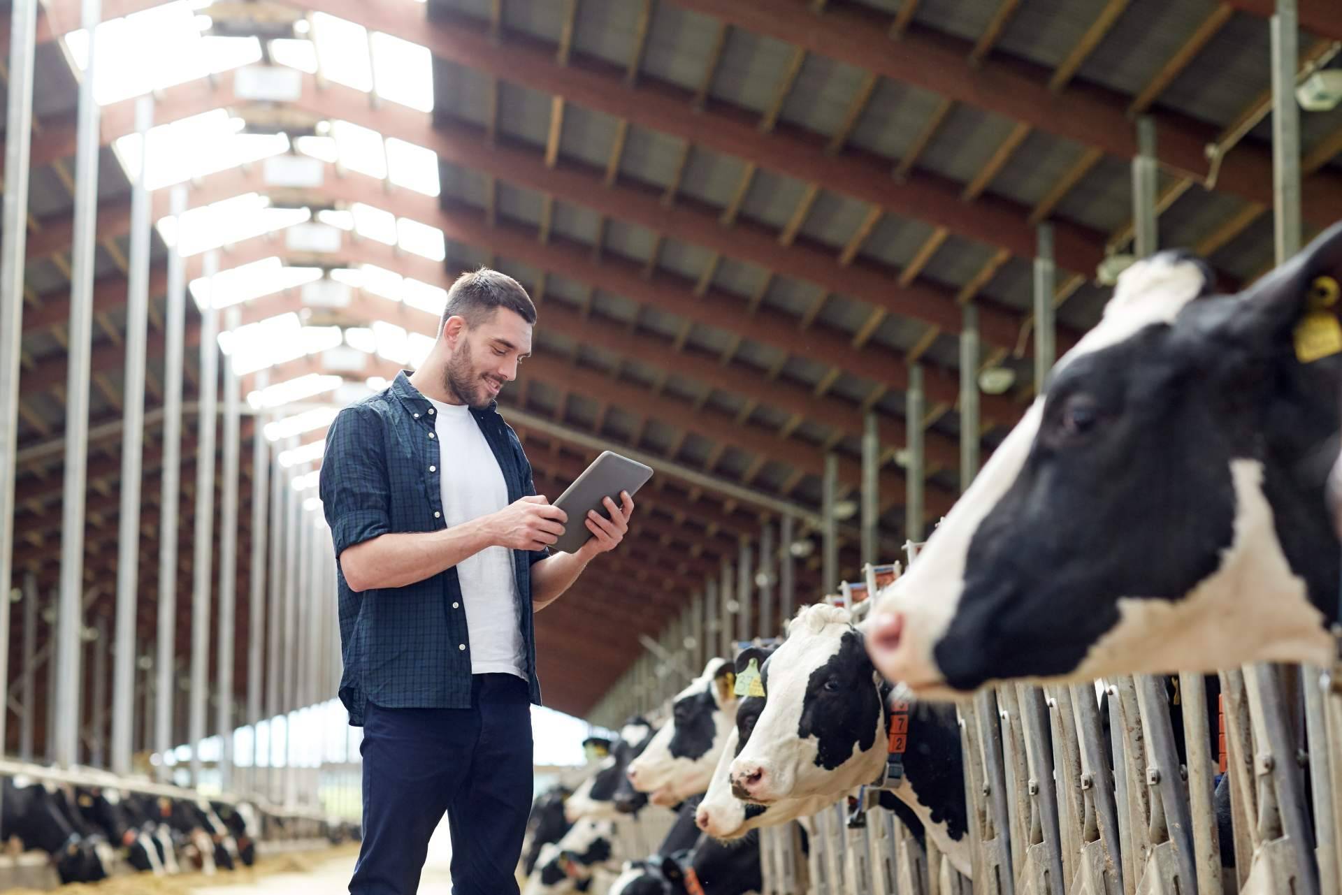Ventajas de contar con un sistema de gestión ERP en una empresa según Certitec