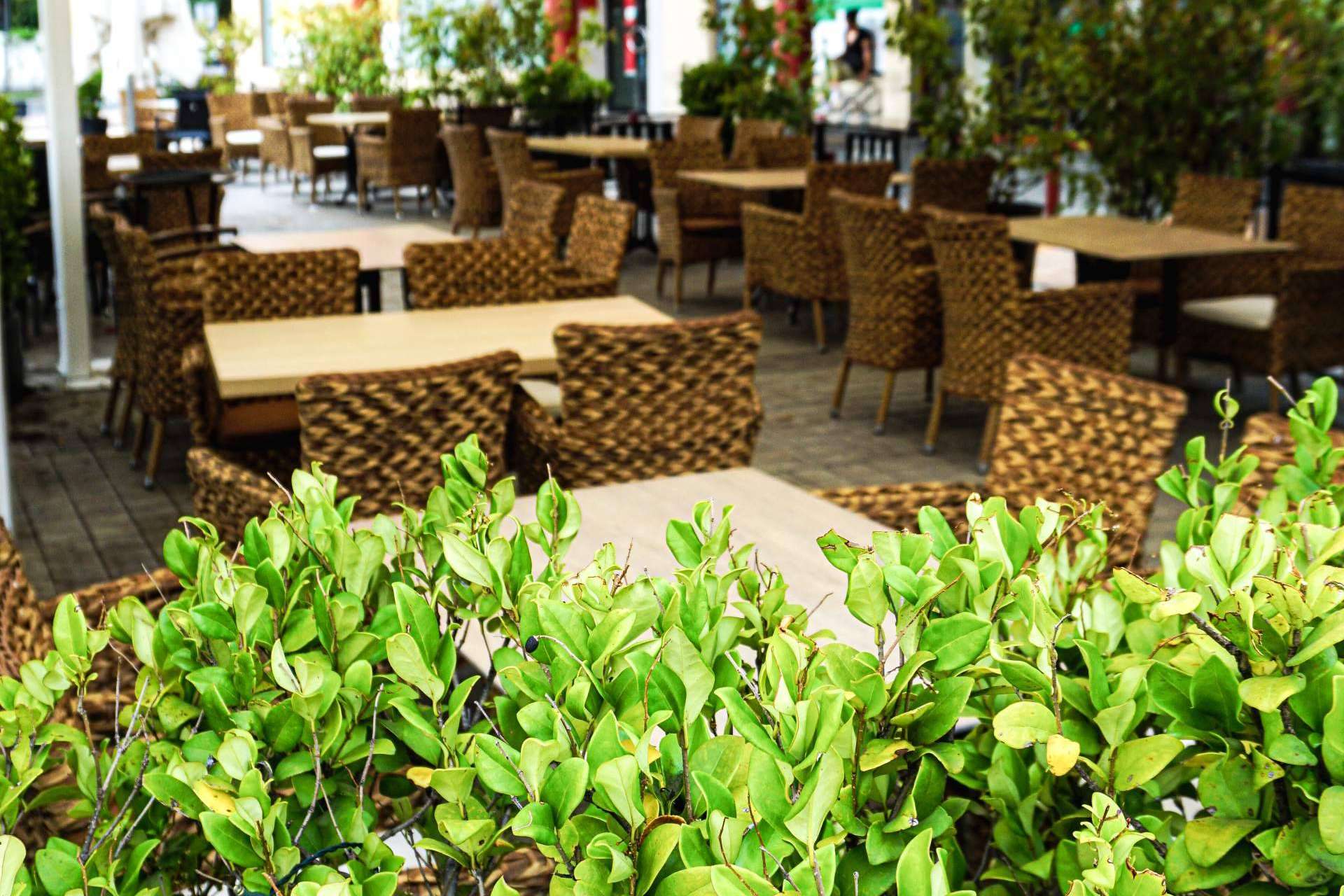 La Rotonda de Rivas, la terraza perfecta para disfrutar de una cena excepcional para todos los gustos