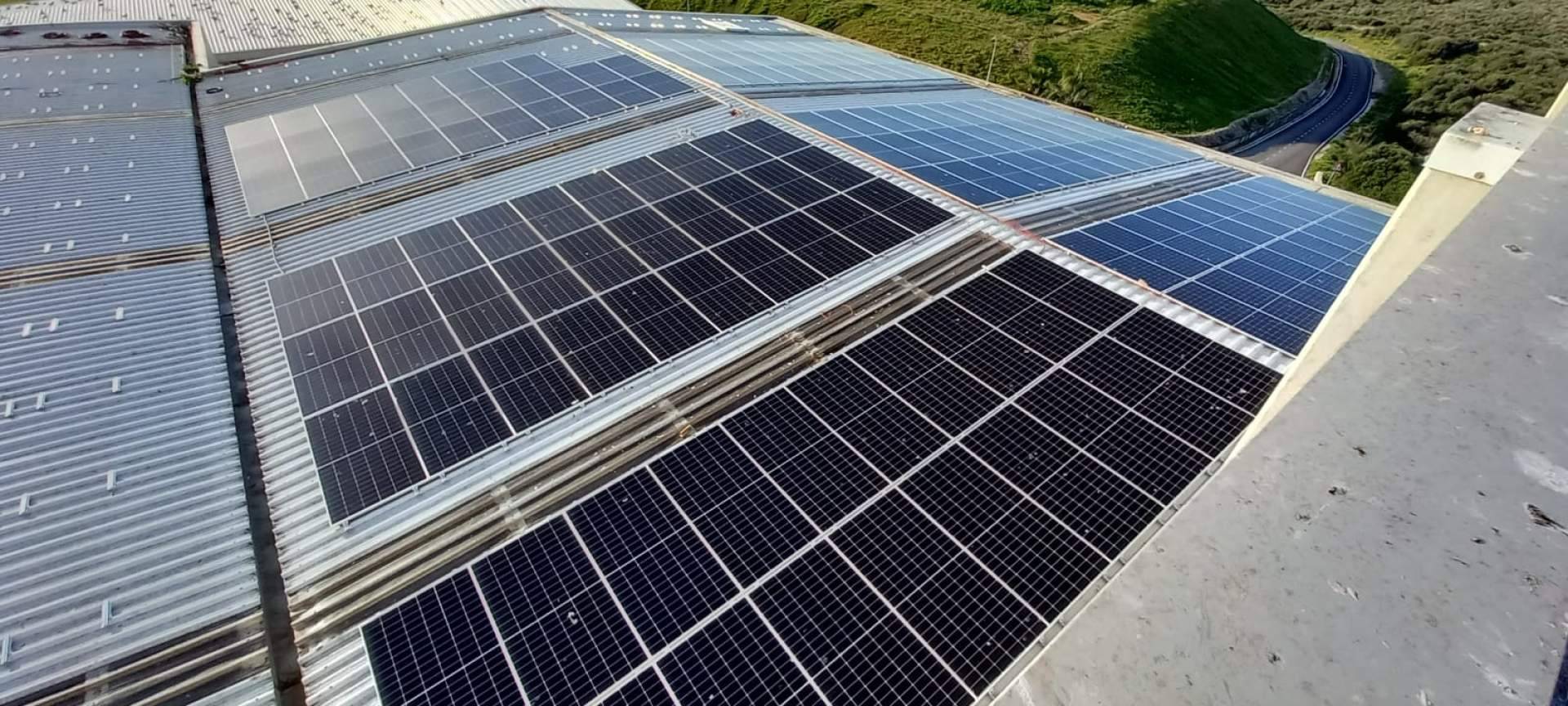 Soluciones en energía renovable para un planeta verde