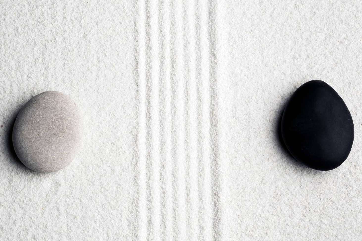 Direct Nutrition y sus suplementos naturales para equilibrar los sistemas del cuerpo