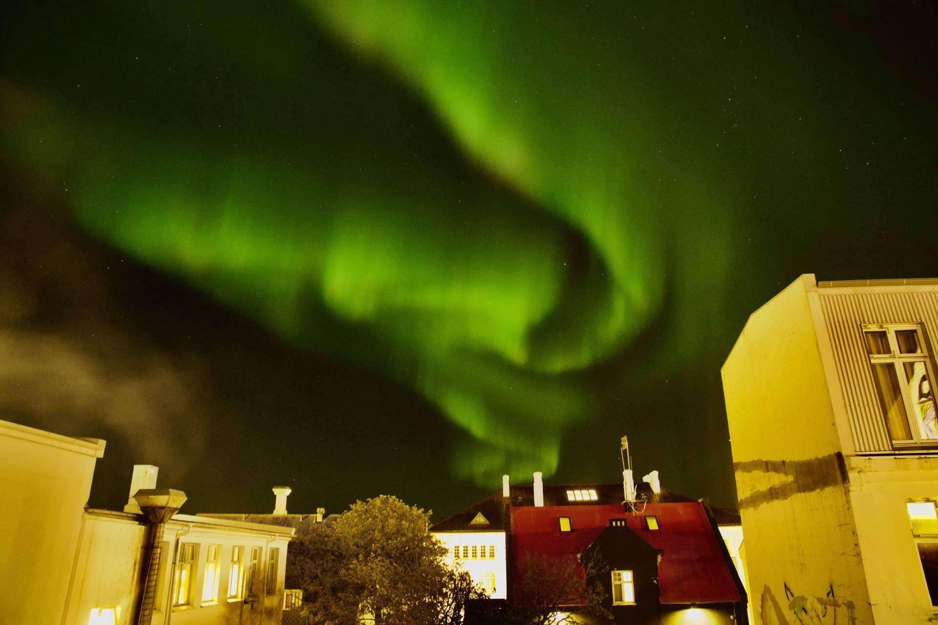 Ocho días en Islandia para ver auroras boreales y nutrirse de la cultura del país