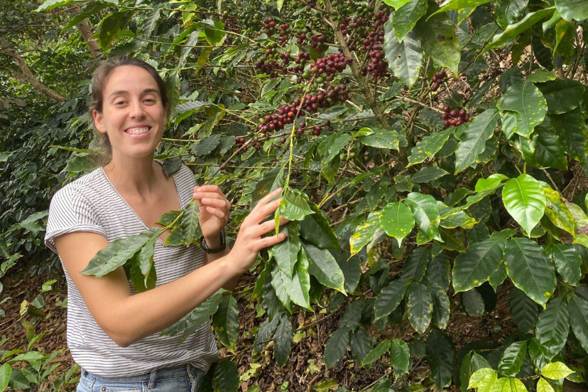 SIBARISTA, el café que conecta al consumidor con el productor