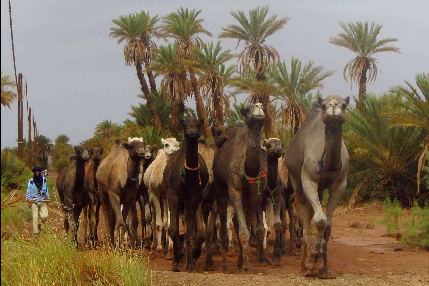 Atar Experience organiza recorridas por zonas de Marruecos poco conocidas