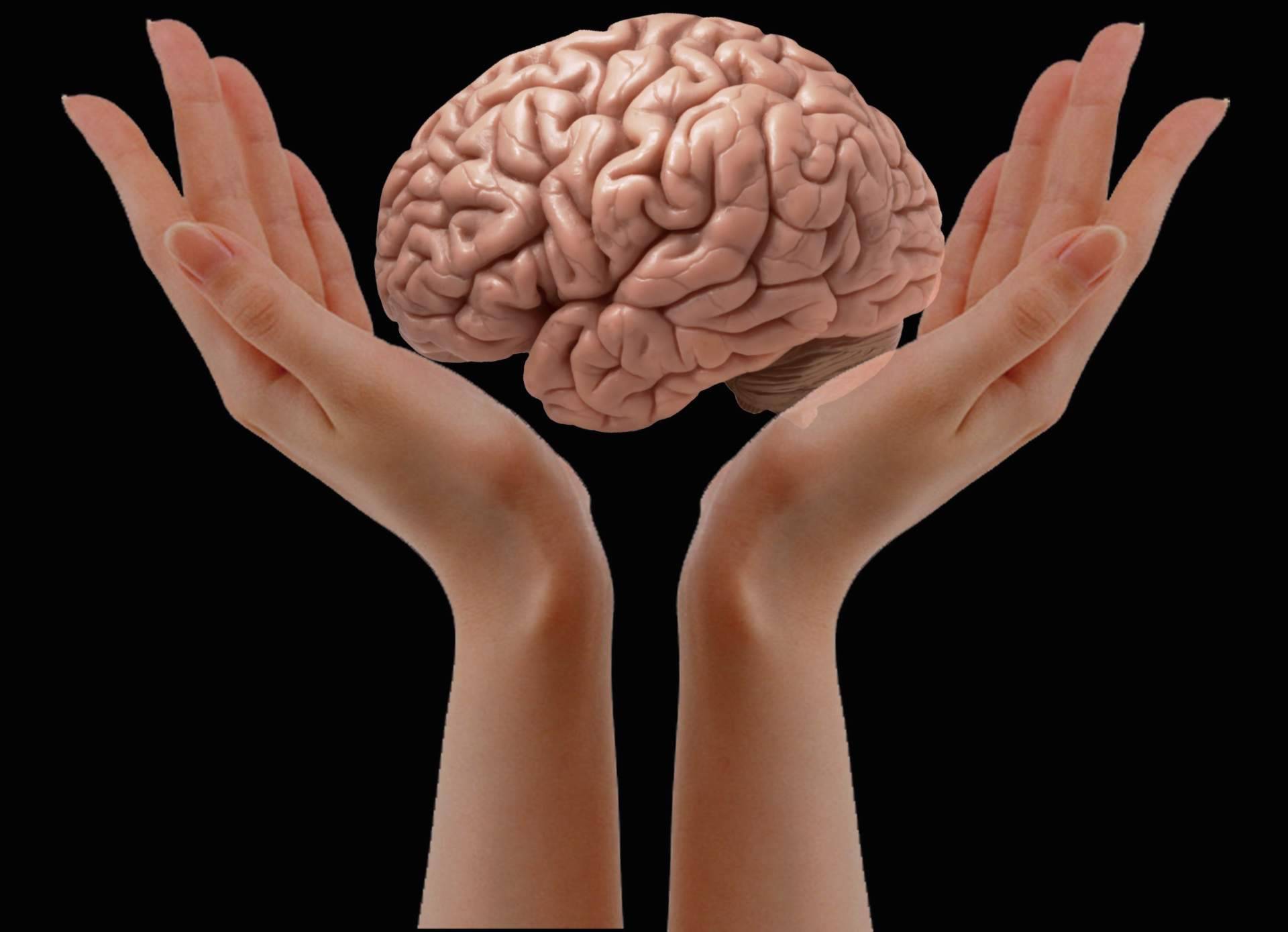 Qué ventajas aportan los servicios de neurorrehabilitación a domicilio