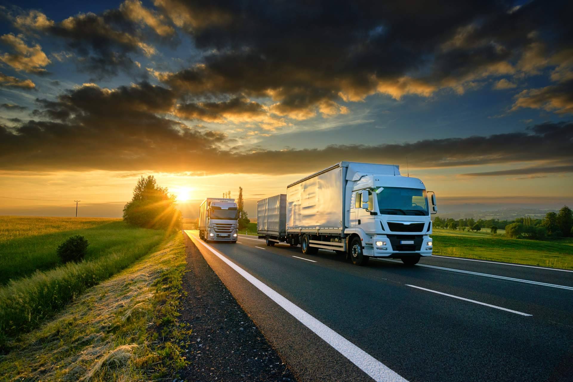 Soluciones logísticas eficientes y personalizadas, con el servicio de transporte para eventos de Transvolando