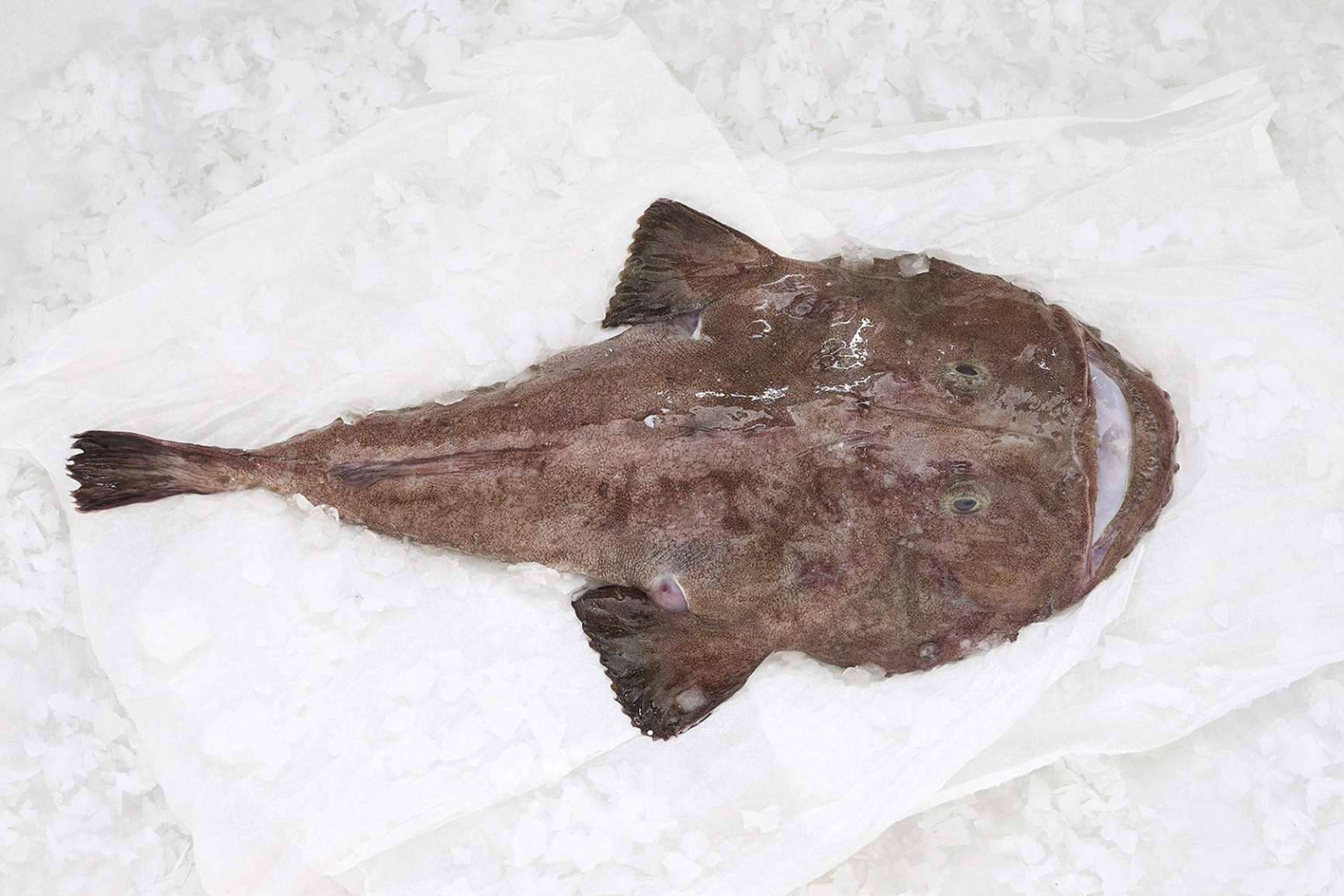 Volver a la rutina saludable con pescado blanco, una de las mejores opciones tras las vacaciones