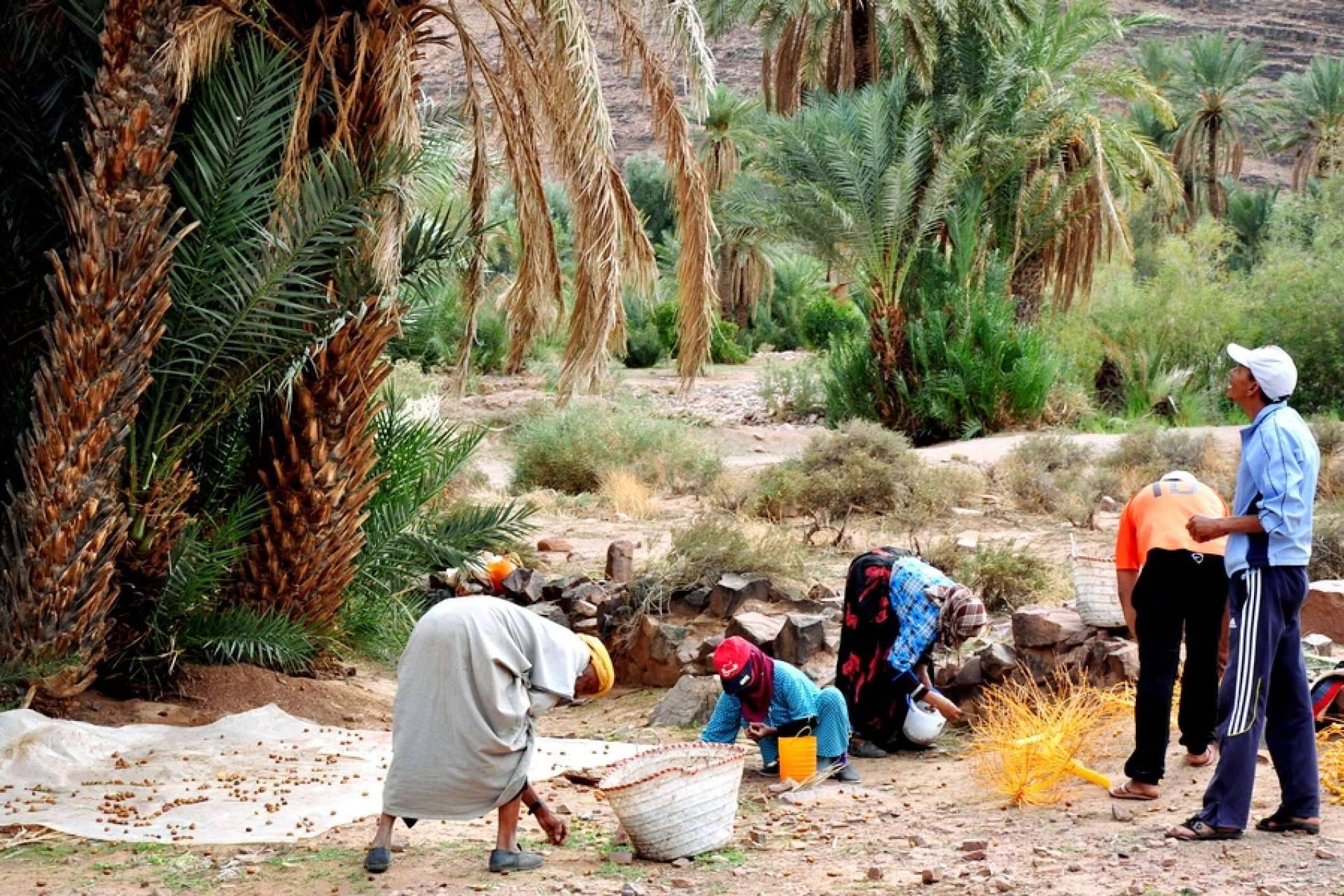 Viajes a Marruecos privados fuera de las rutas turísticas habituales