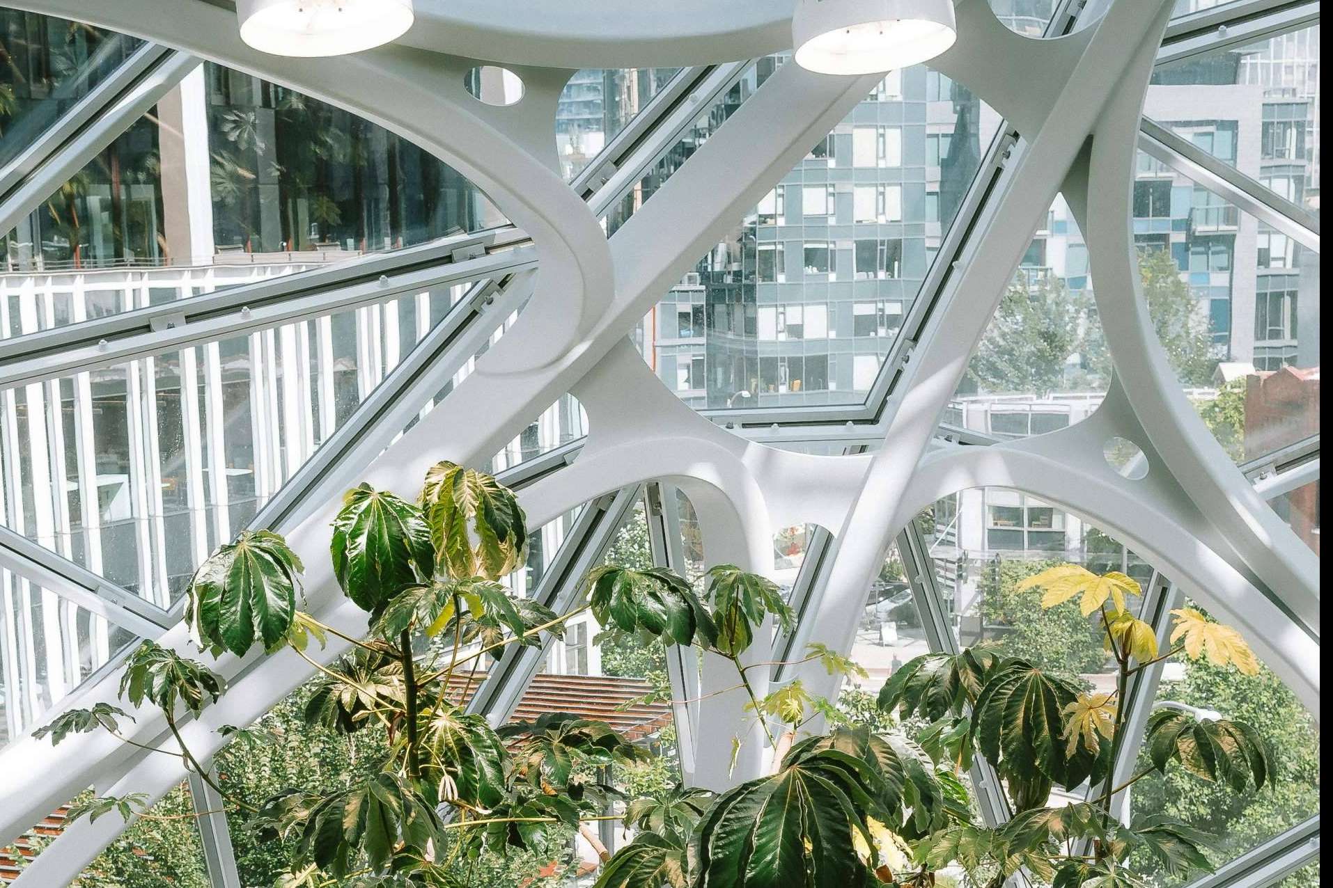 Chiyc se especializa en proyectos de interiorismo enfocados en el Feng Shui