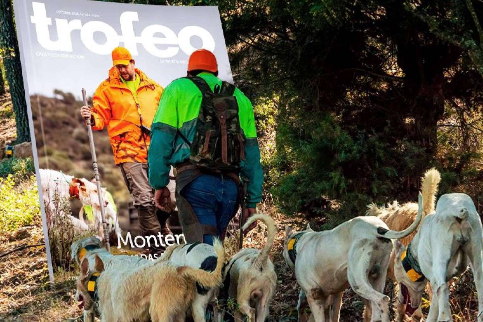 Preparar los perros para la nueva temporada de caza, con los consejos expertos de Trofeo Caza