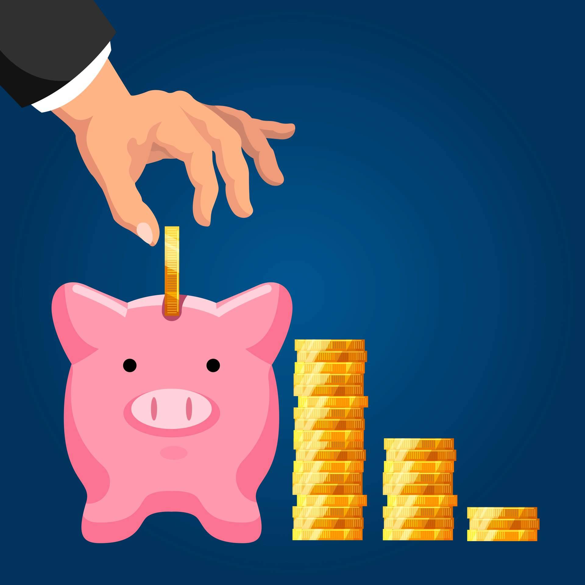 Programa de Contabilidad Profesional sin cuotas mensuales