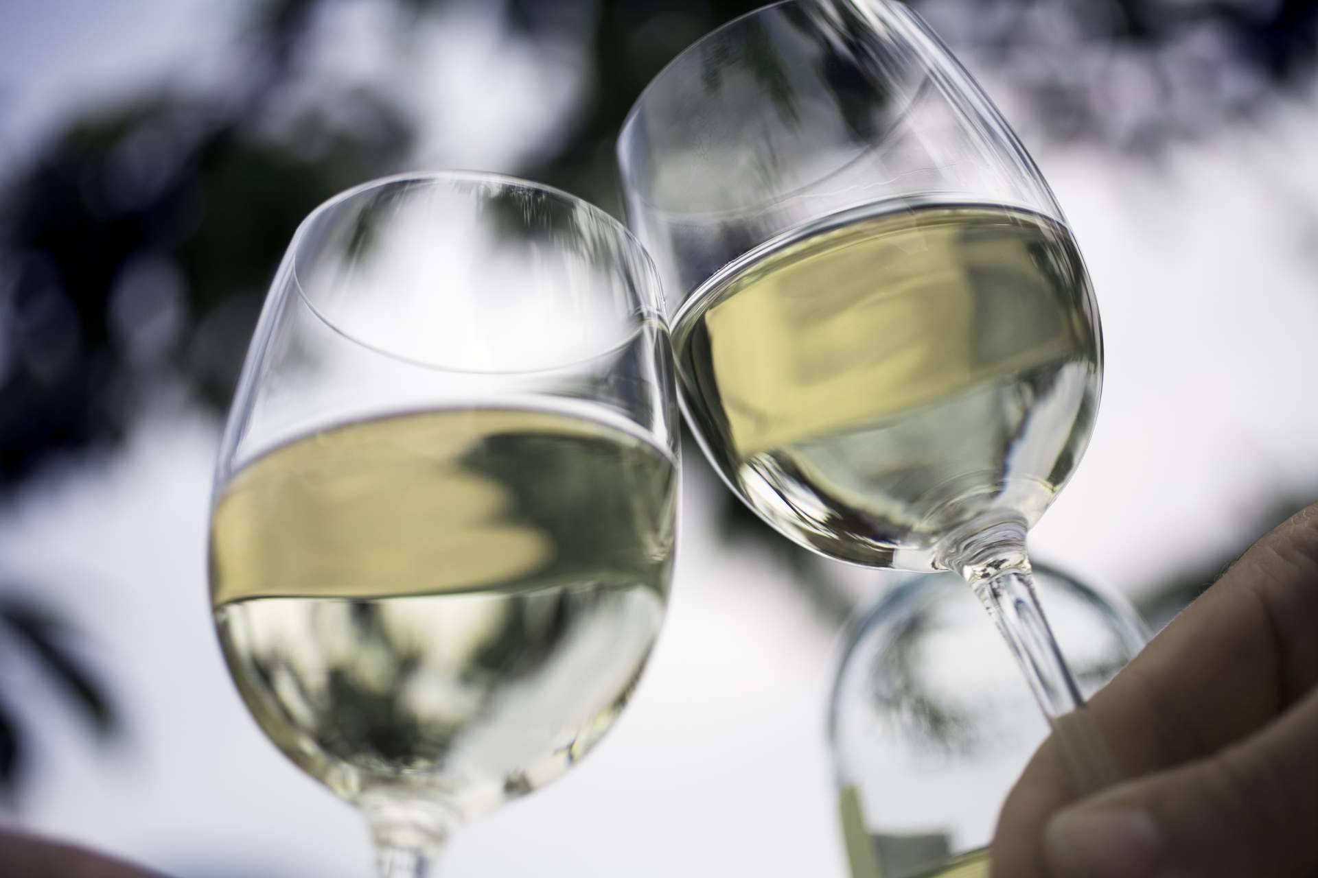 Variedad de vinos sostenibles en el catálogo de Naturelovers Wines