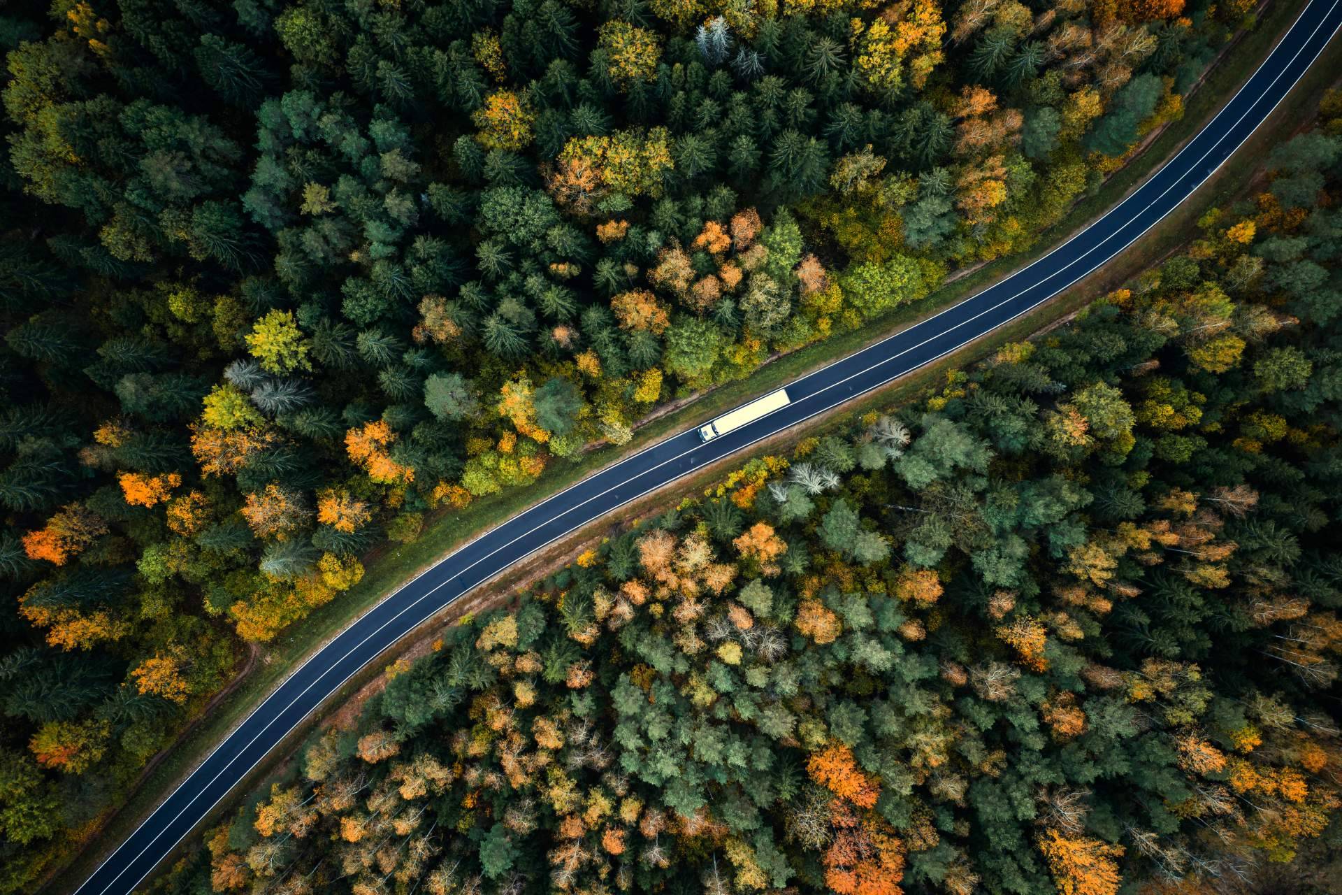 Jóvenes y expertos apuestan por la movilidad eléctrica para reducir las emisiones del transporte