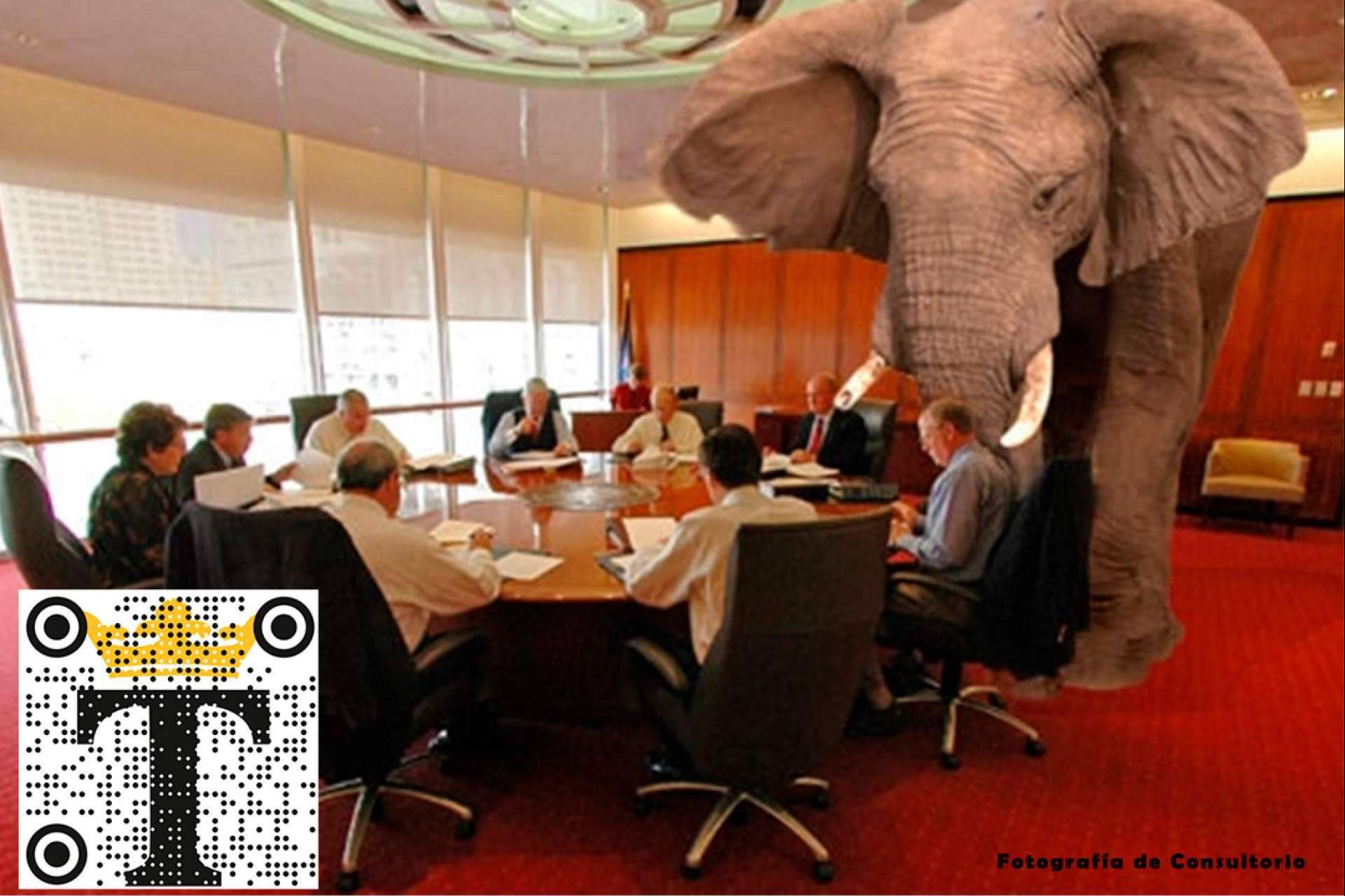 Las Asociaciones y Clubes Deportivos ignoran los beneficios de este colosal elefante