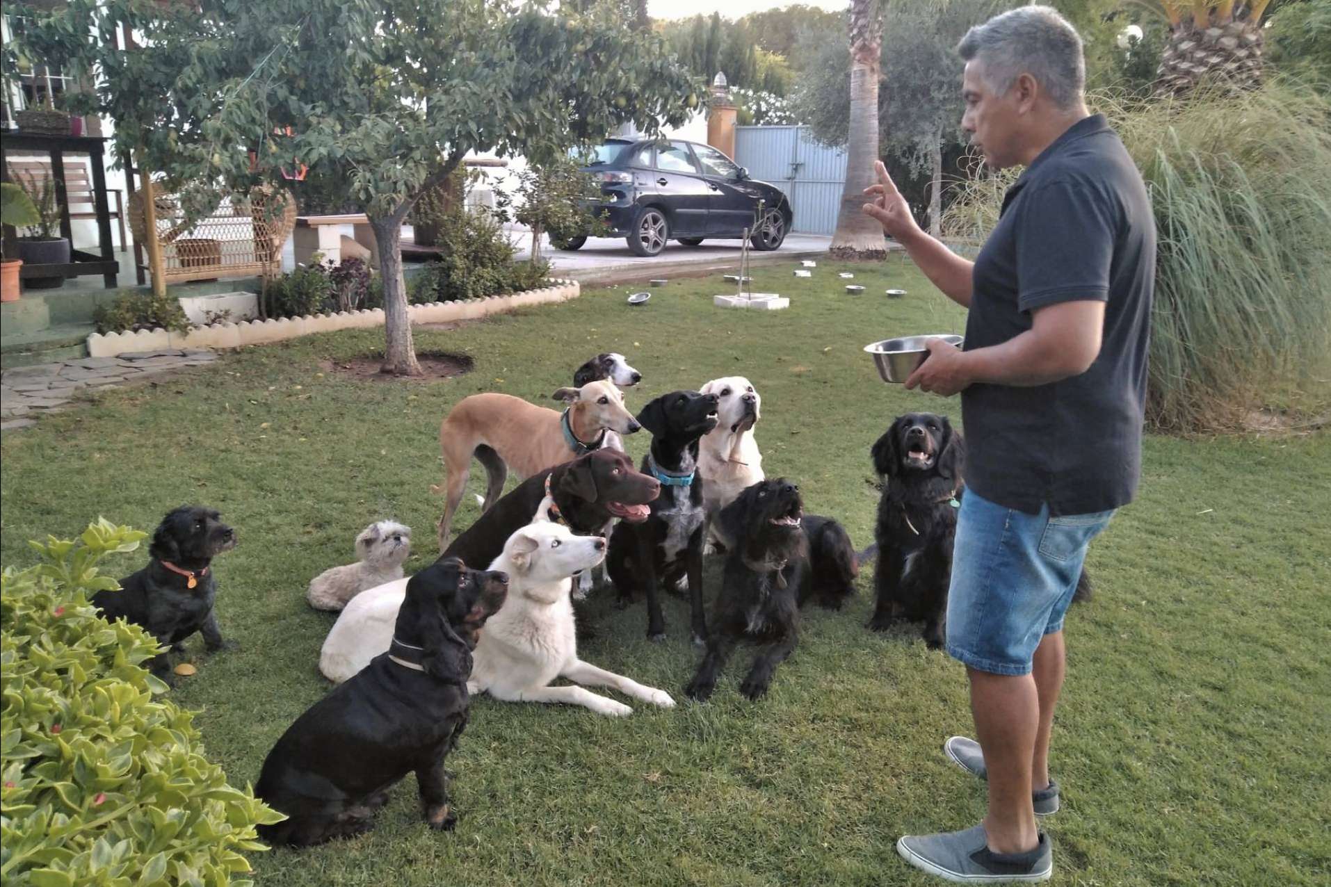4EverDogs presenta un curso sobre el Método Natural Leading en la educación canina