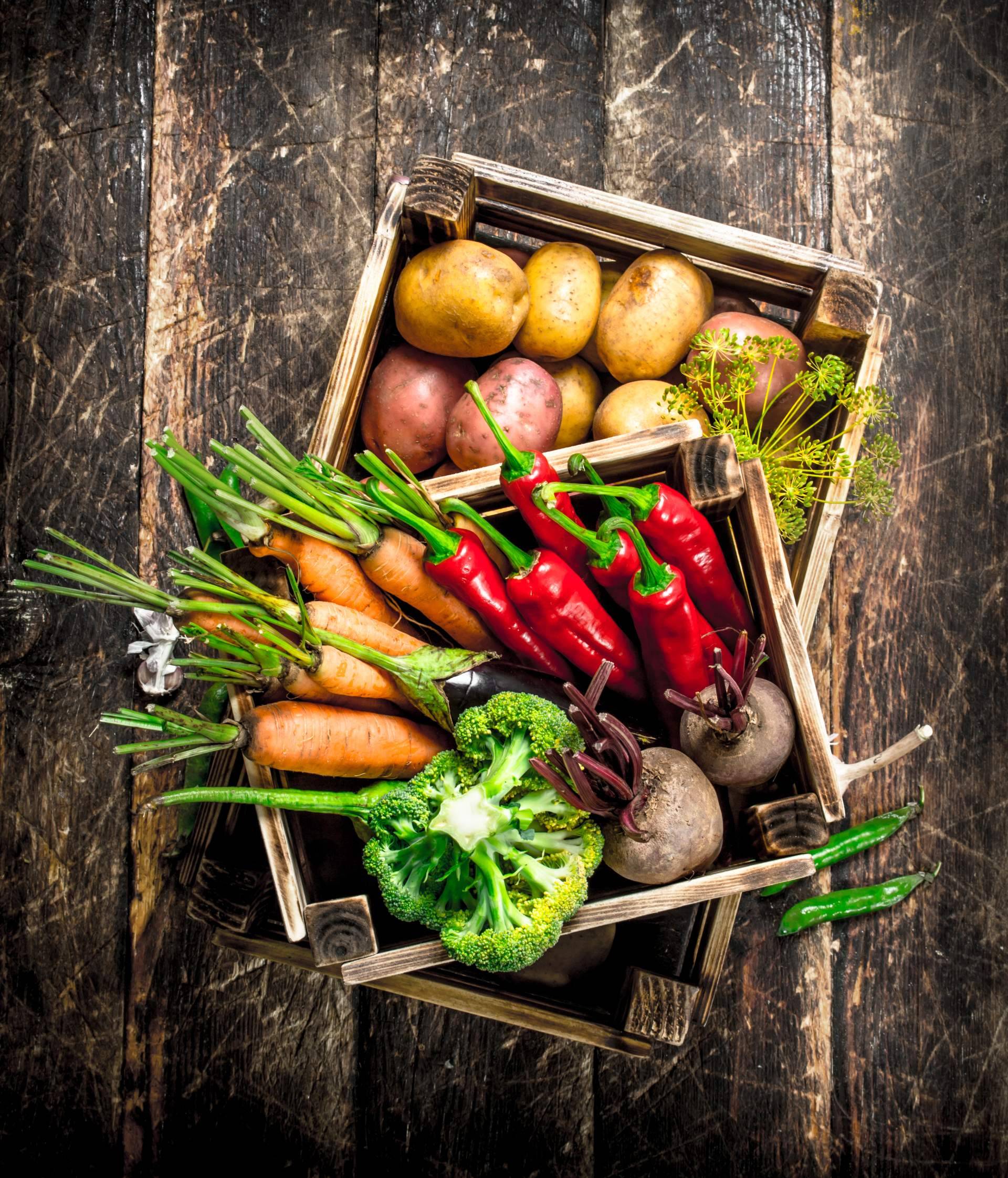JGC Market, el marketplace de los agricultores