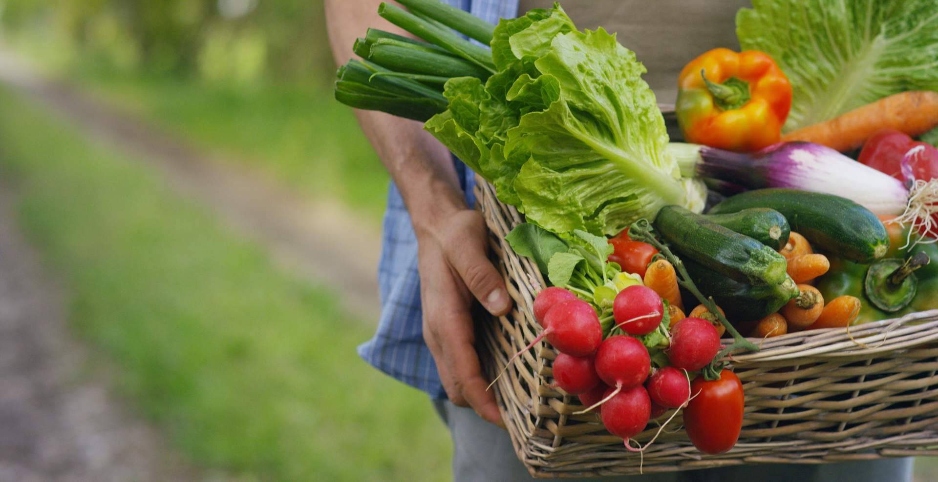 Baor Products, zumos naturales que priorizan la salud y la sostenibilidad