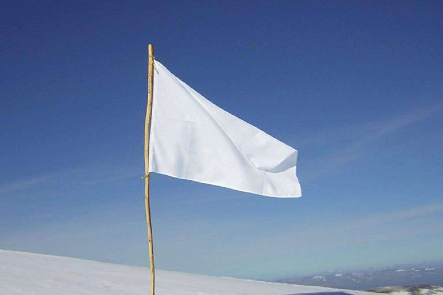 Por la república mundial