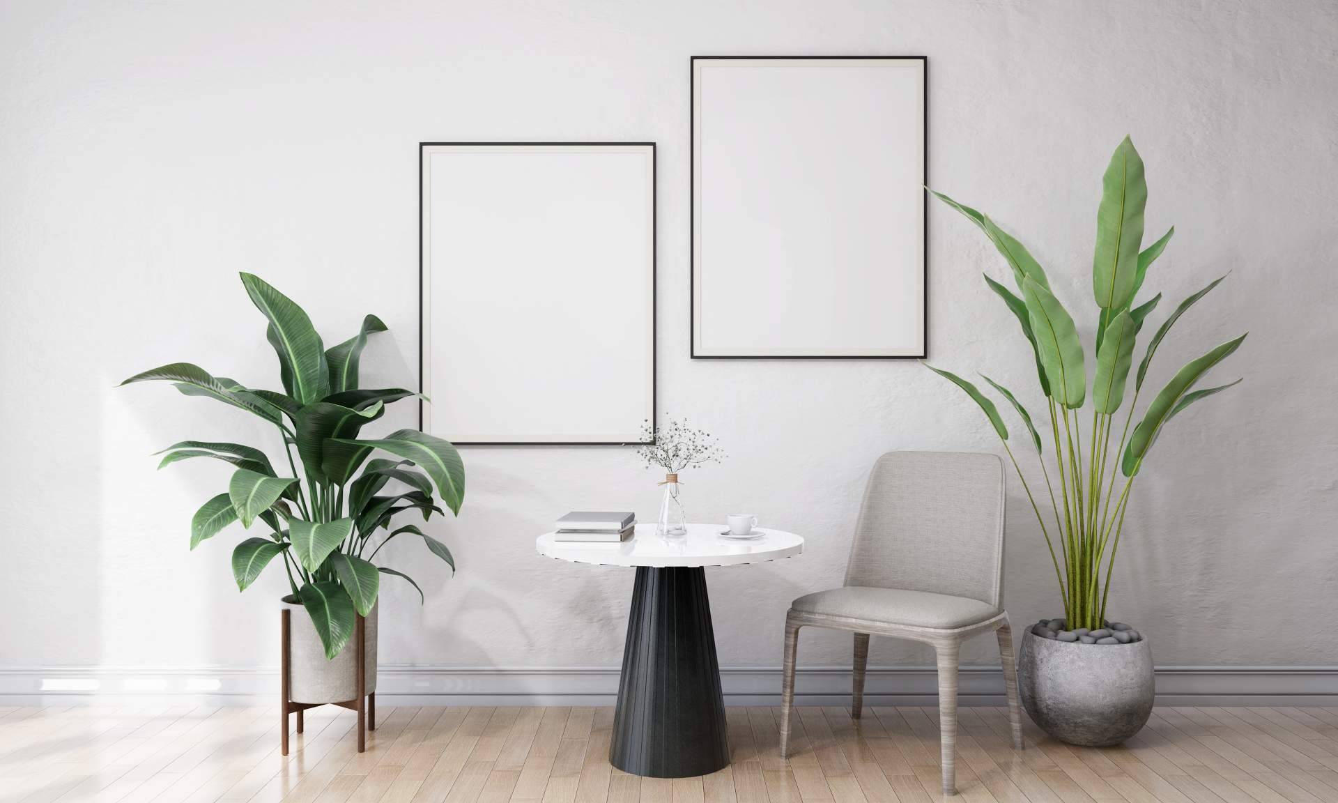 Sacosa, un referente en la comercialización de paneles decorativos 3D para paredes