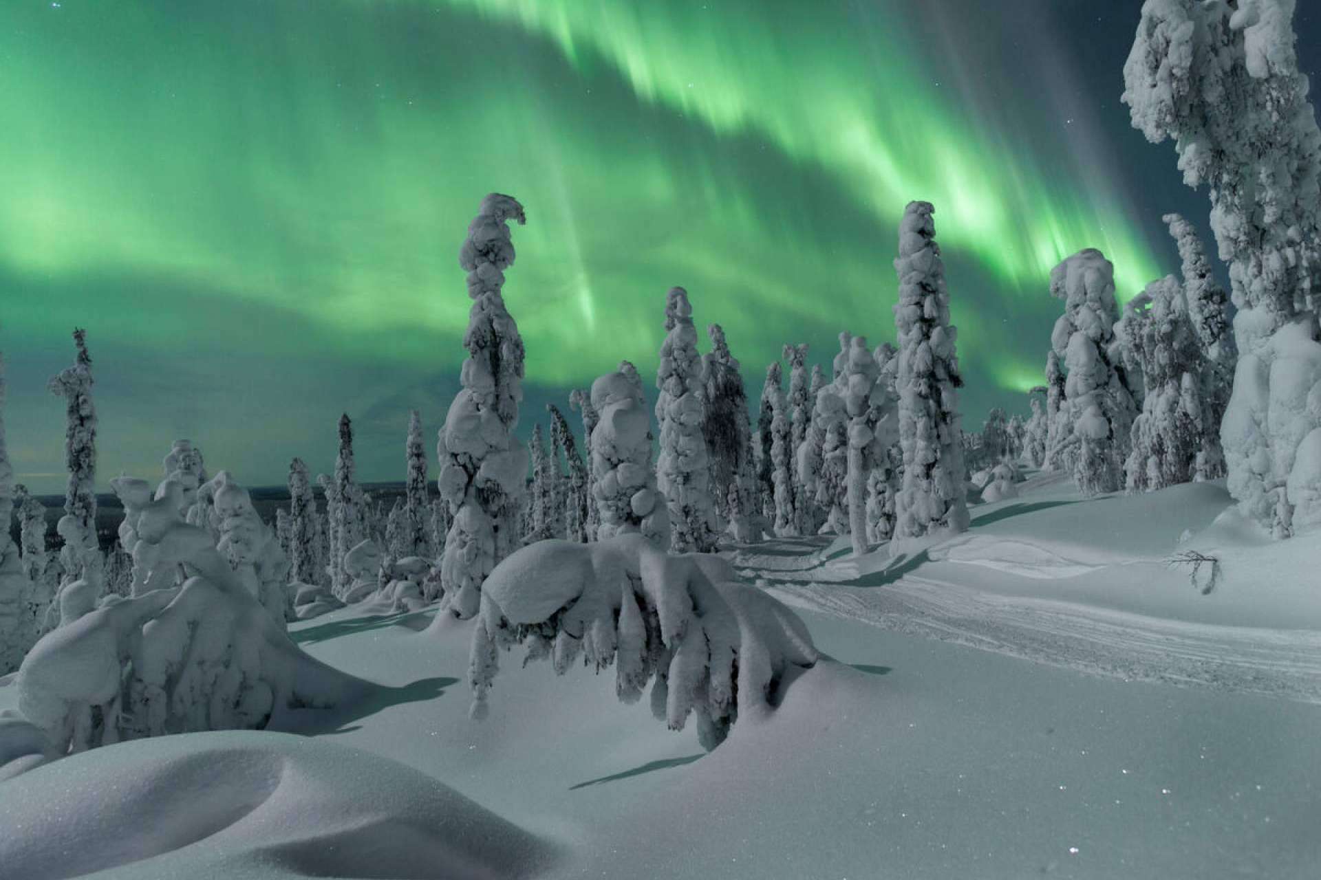 Iglús de cristal en Laponia para vivir noches mágicas bajo las auroras boreales