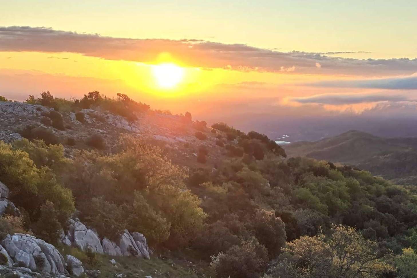 Crecer en armonía, la propuesta de Chemin Faisant para alcanzar el equilibrio emocional