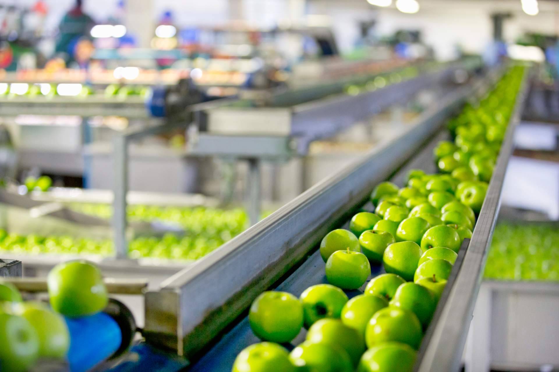 Baor Products destaca en la fabricación y distribución de concentrados de frutas en España