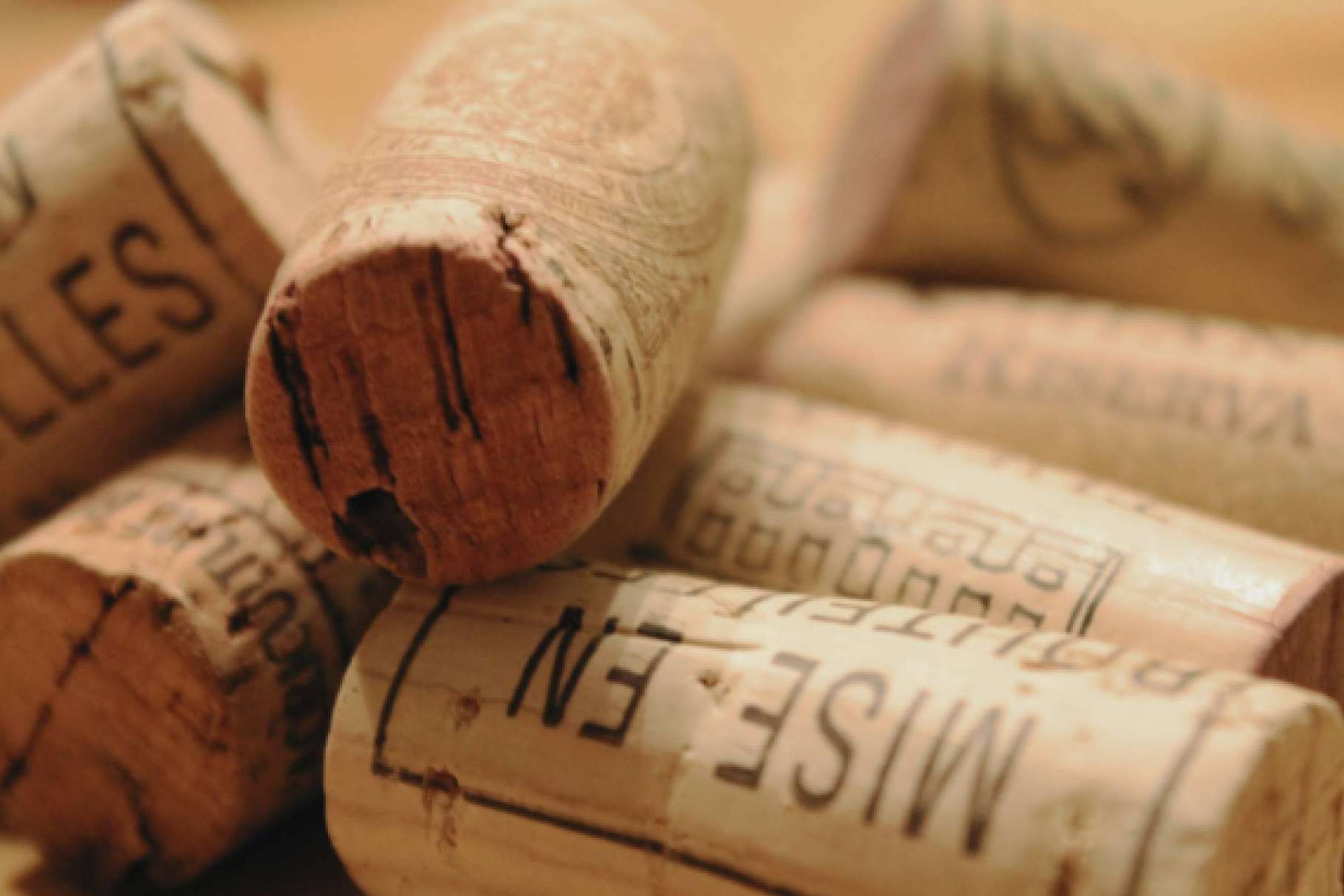 El papel del tapón de corcho en la conservación del aroma y sabor del vino