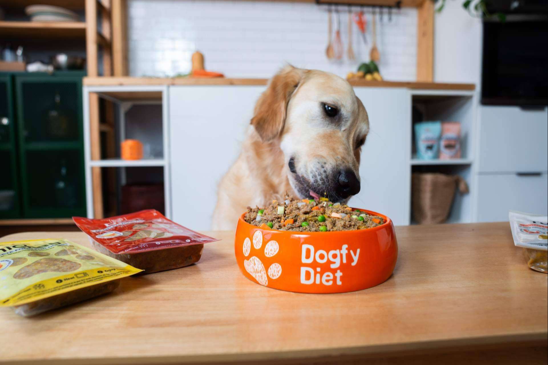 Tendencias en alimentación natural para perros; una revolución hacia la salud y sostenibilidad