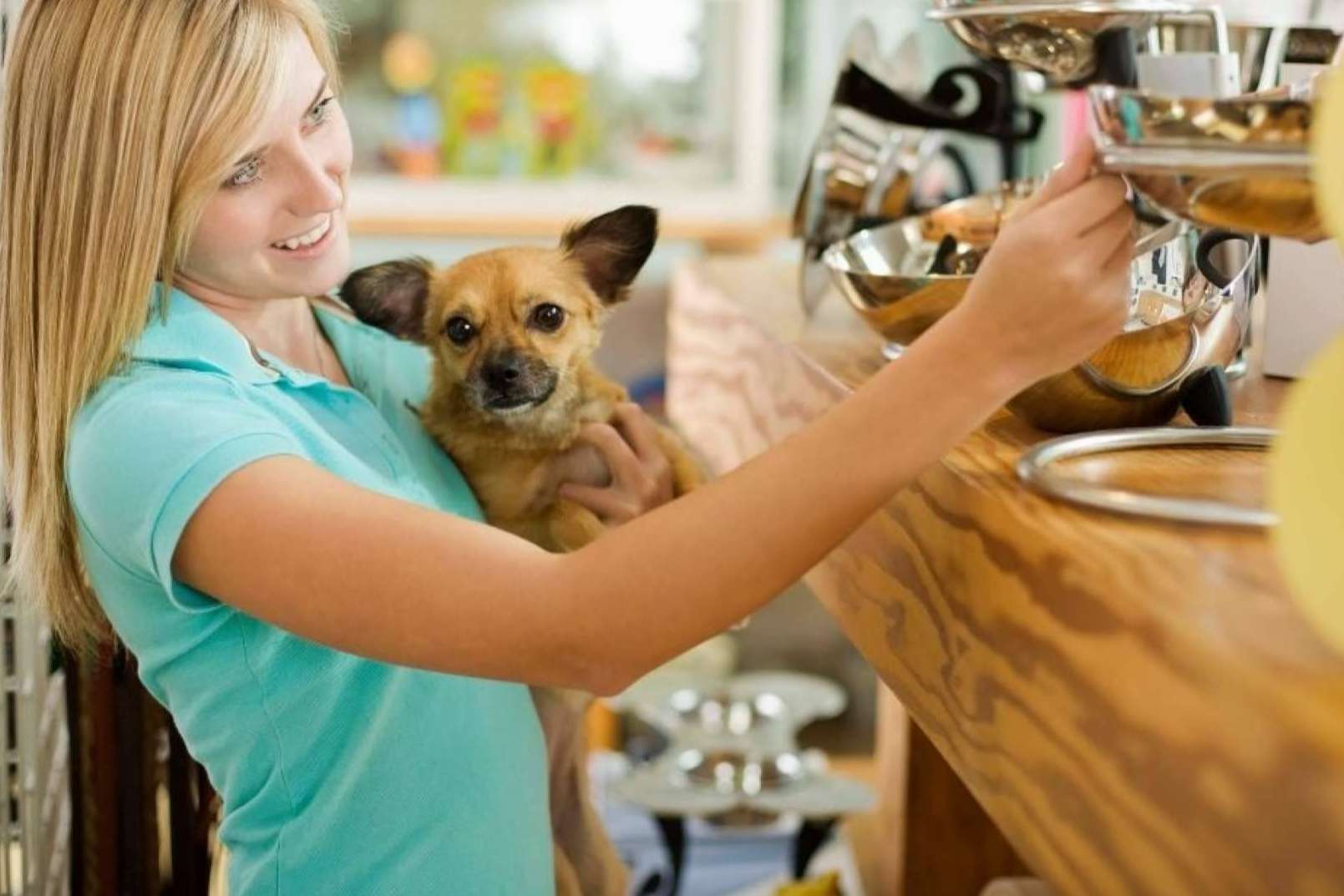 Gestor PetShop; Cumple con VeriFactu en Peluquerías y Tiendas de Animales