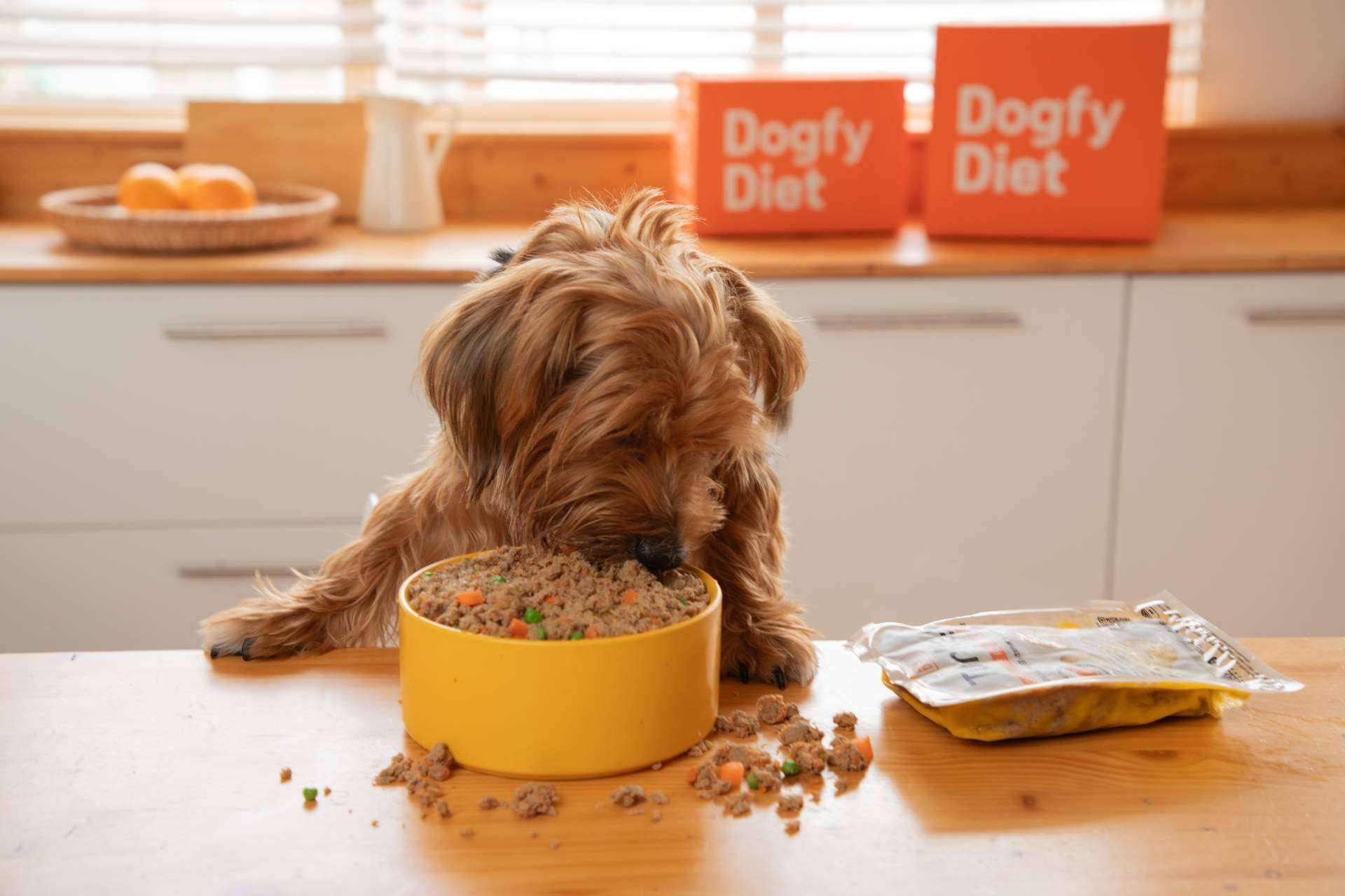 Nutrición canina de calidad; Dogfy Diet ofrece dietas frescas a domicilio