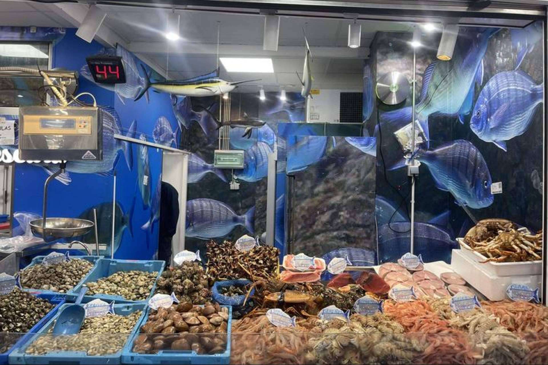 Pescado y marisco en Ceuta, Pescadería Younes es una referencia en frescura y tradición