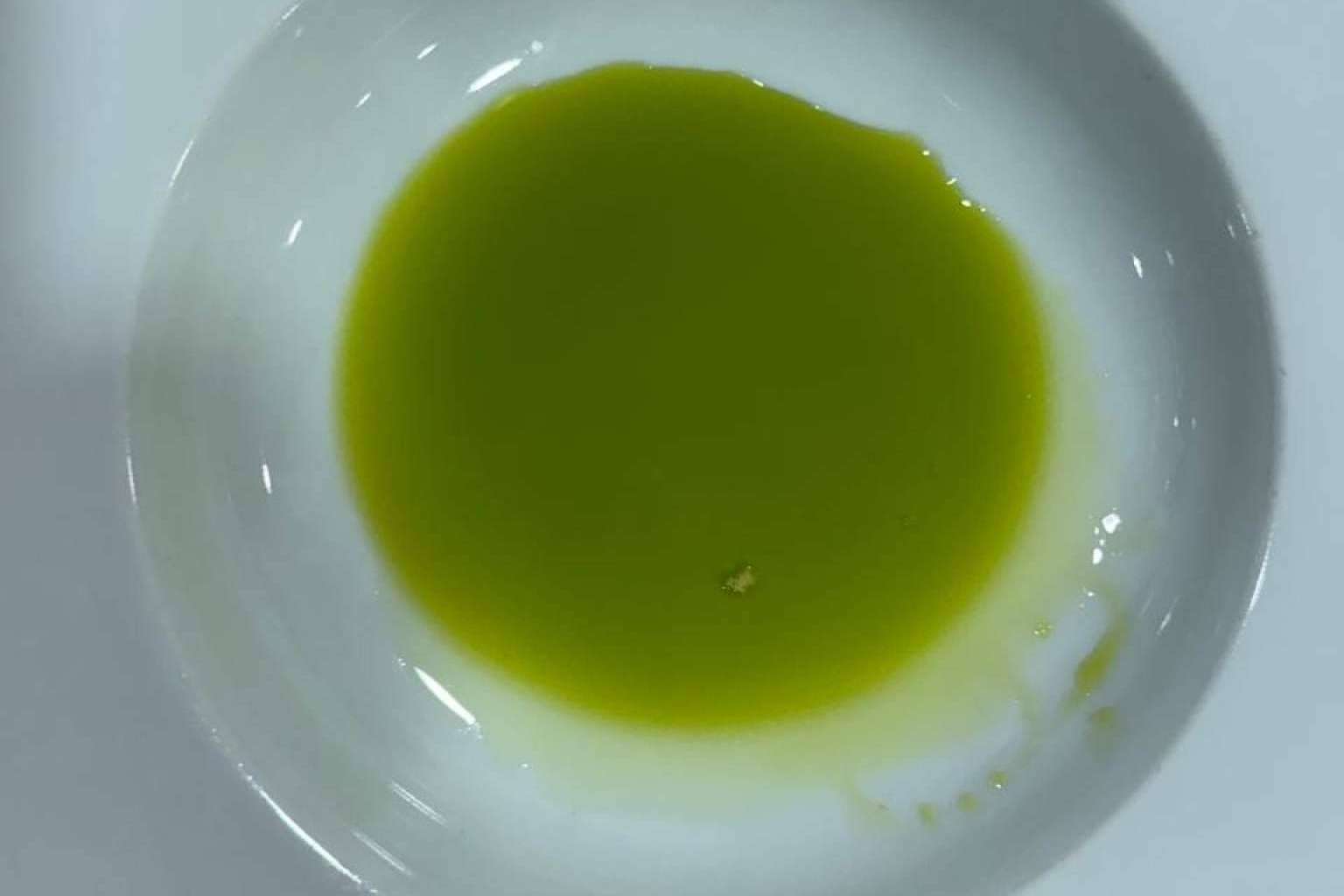 La excelencia del aceite de oliva gourmet, Tercio de las Torres, un proceso único desde el olivo a la botella