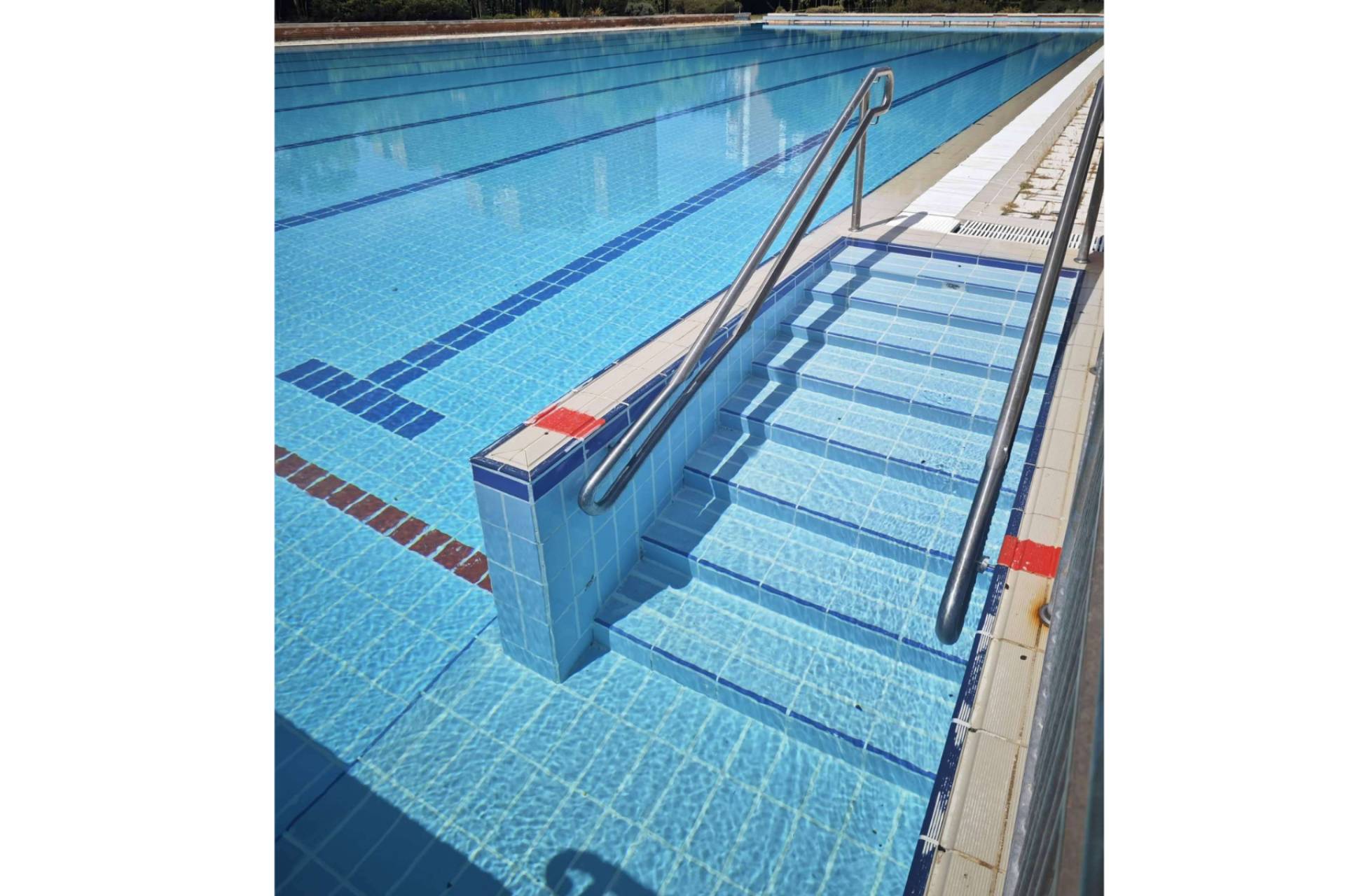POOL TIGER EUROPE impulsa un nuevo estándar en la purificación de piscinas
